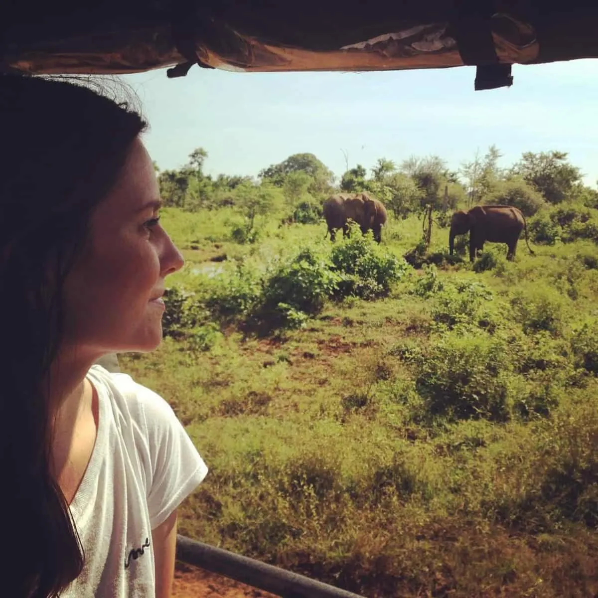 People in Elephant Lodge