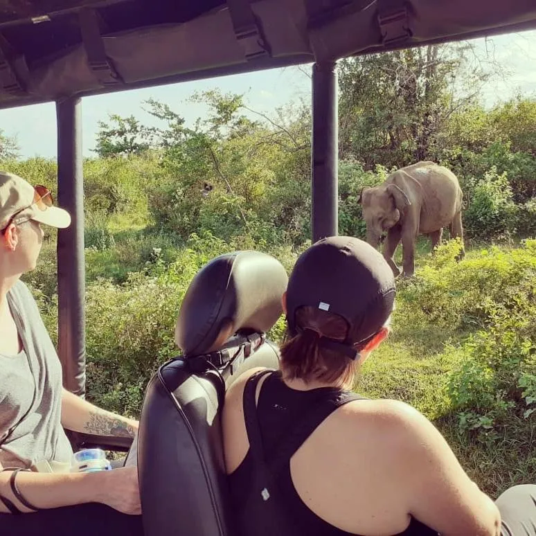 People in Elephant Lodge