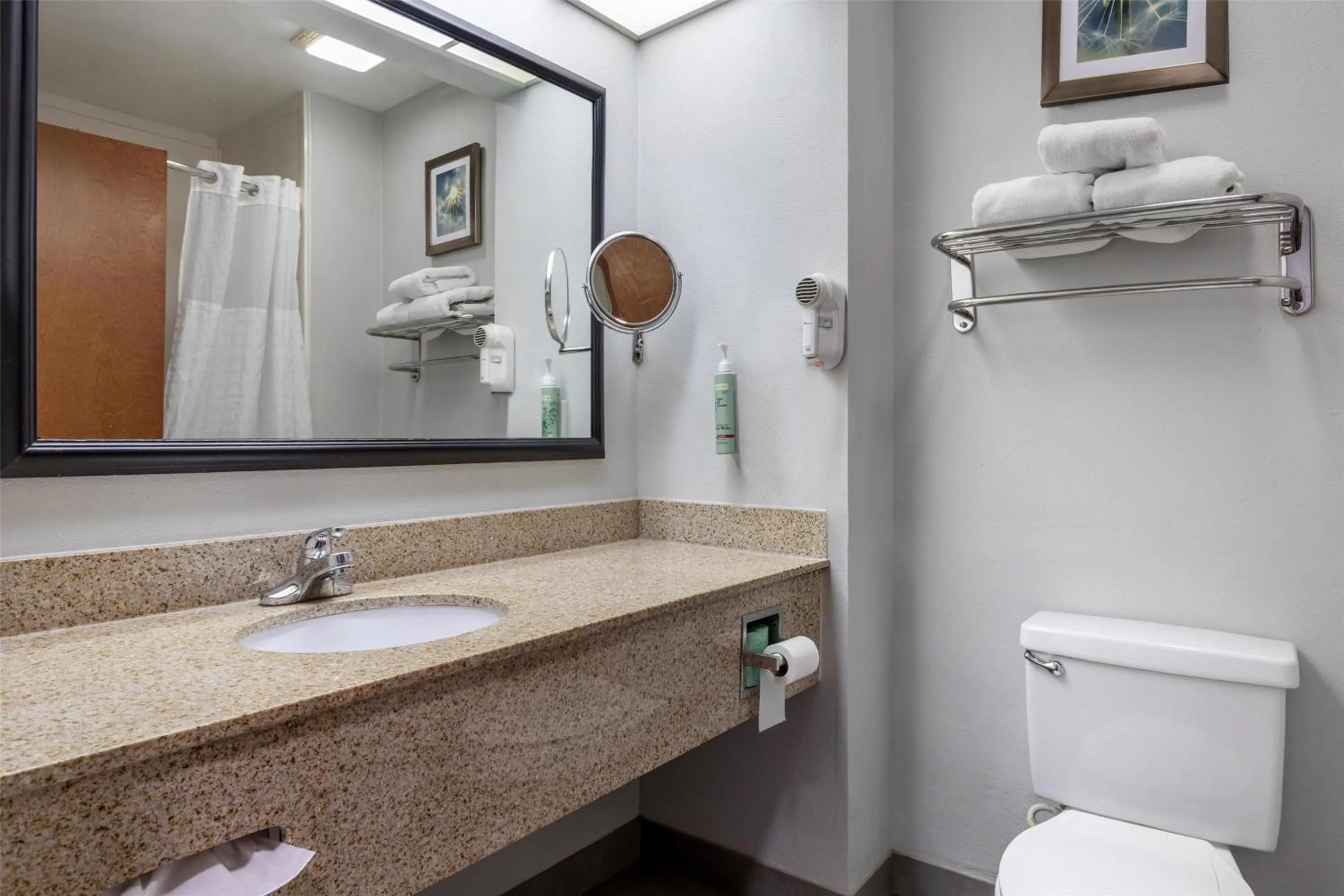 Bathroom in Best Western Executive Inn