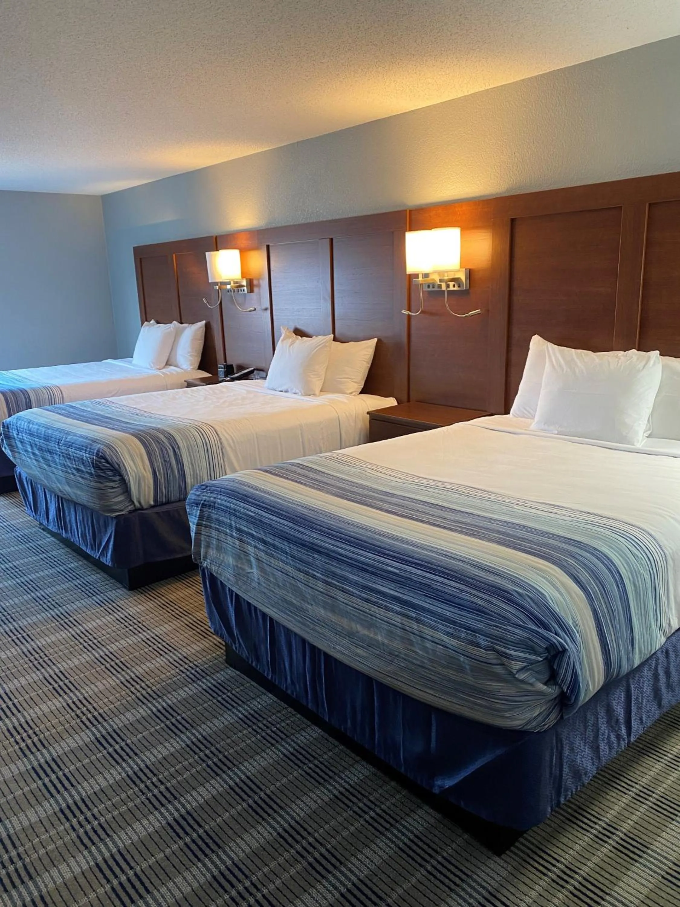 Photo of the whole room, Bed in AmericInn by Wyndham Williamsburg