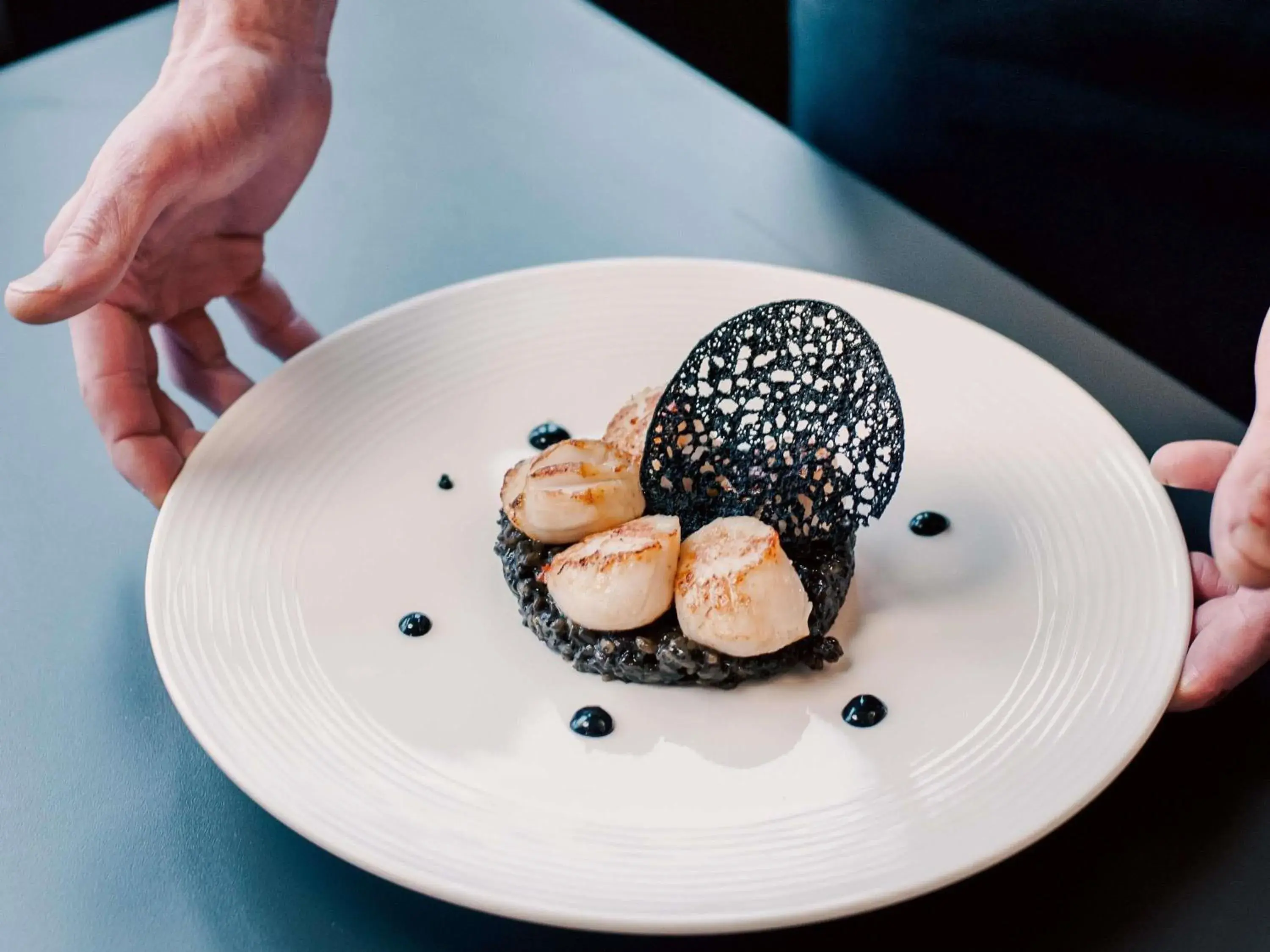 Property building in Tribe Carcassonne Property building in Tribe Carcassonne