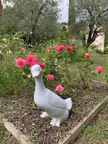 Garden view in L 'Havéli