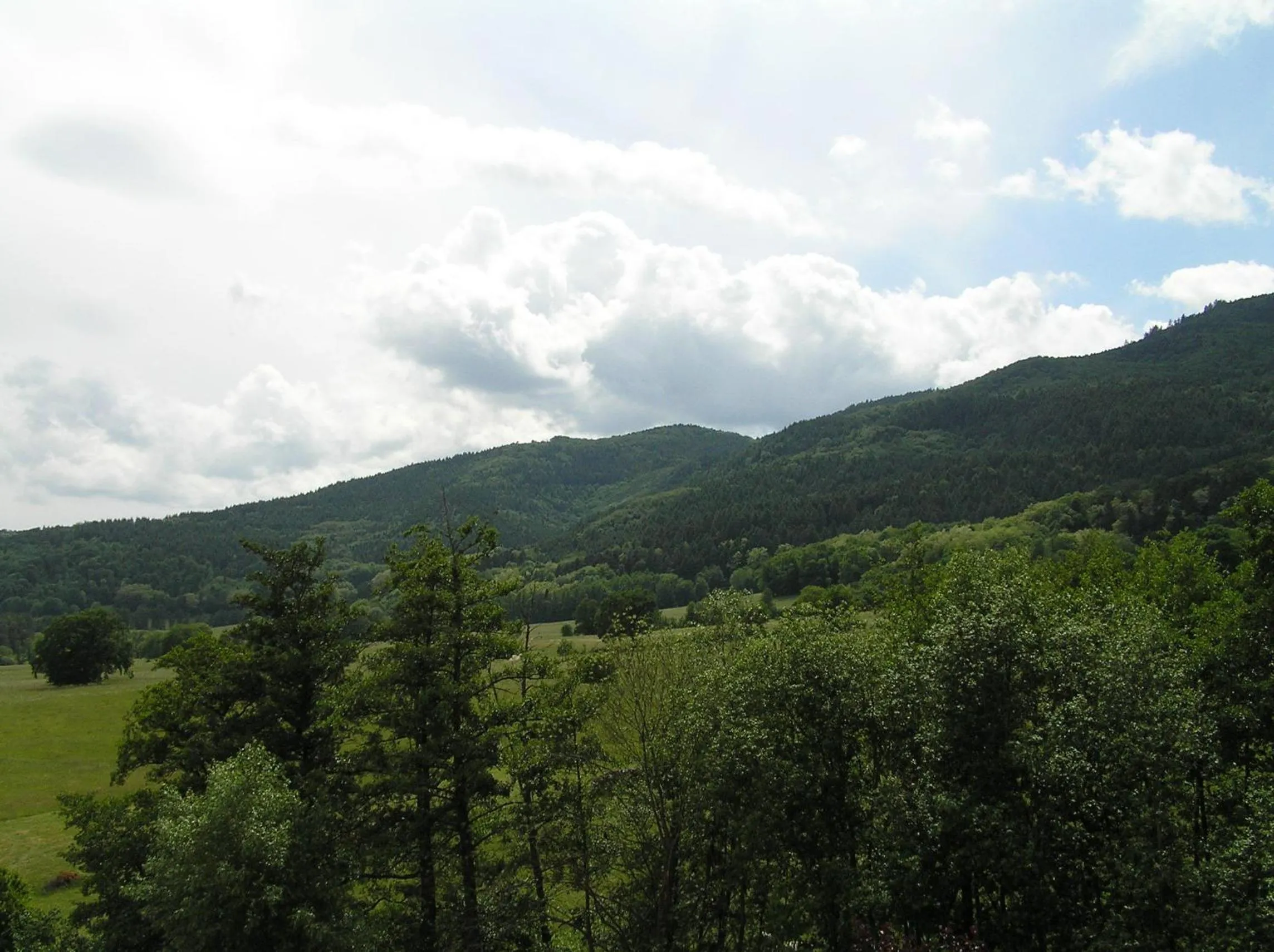 Activities in A l'Arbre Vert
