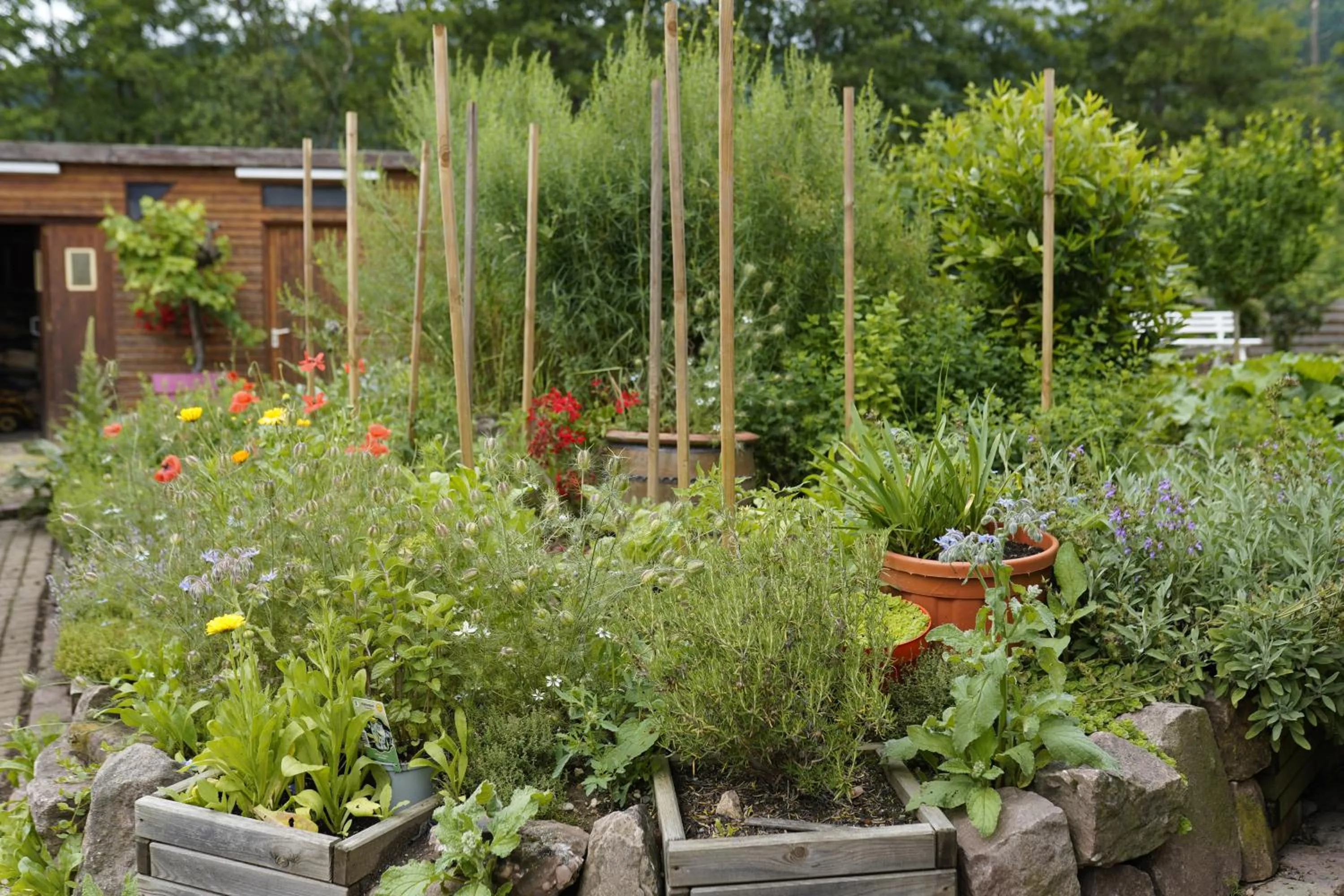 Garden in A l'Arbre Vert