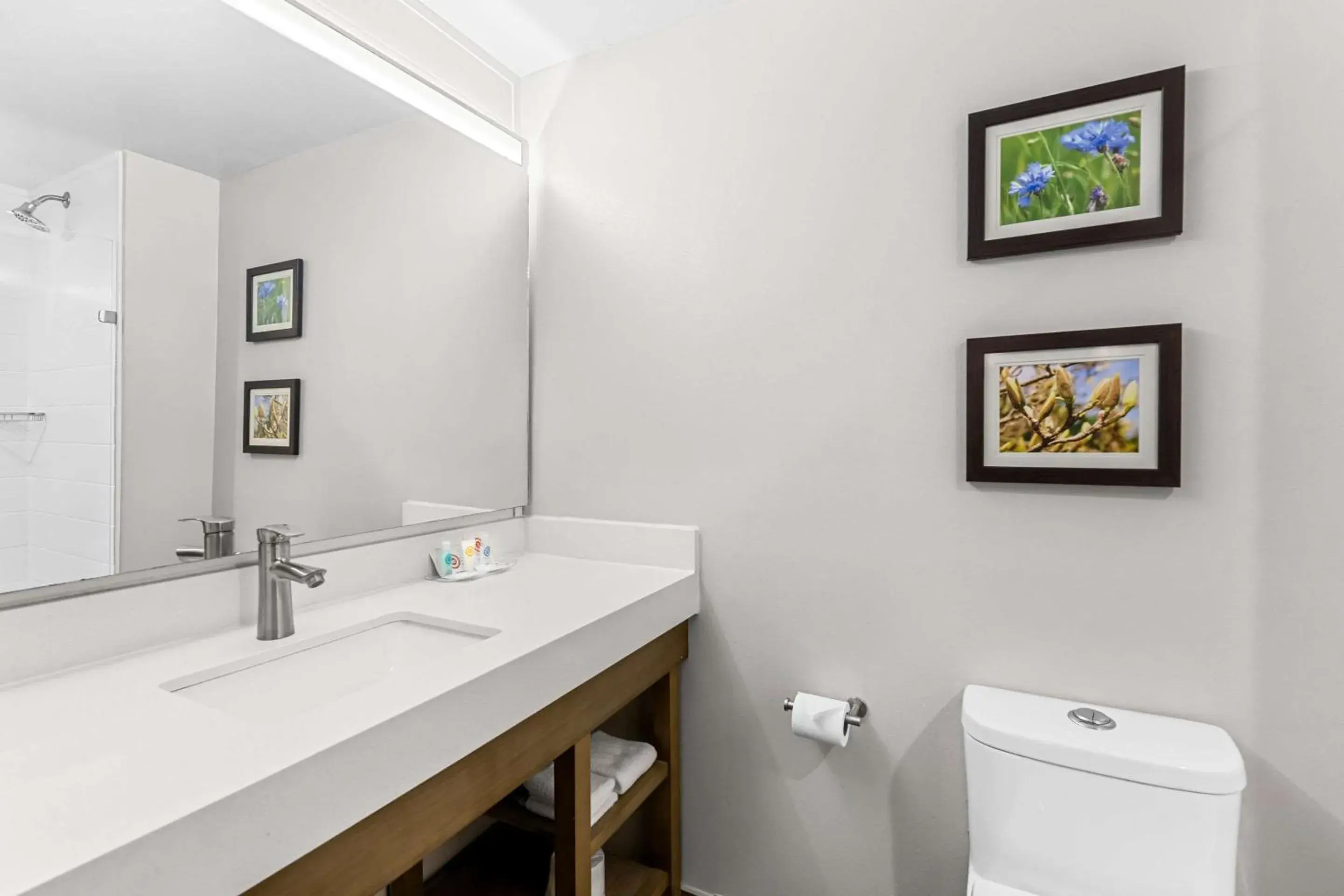 Bedroom in Comfort Suites Columbia I-65 Bedroom in Comfort Suites Columbia I-65