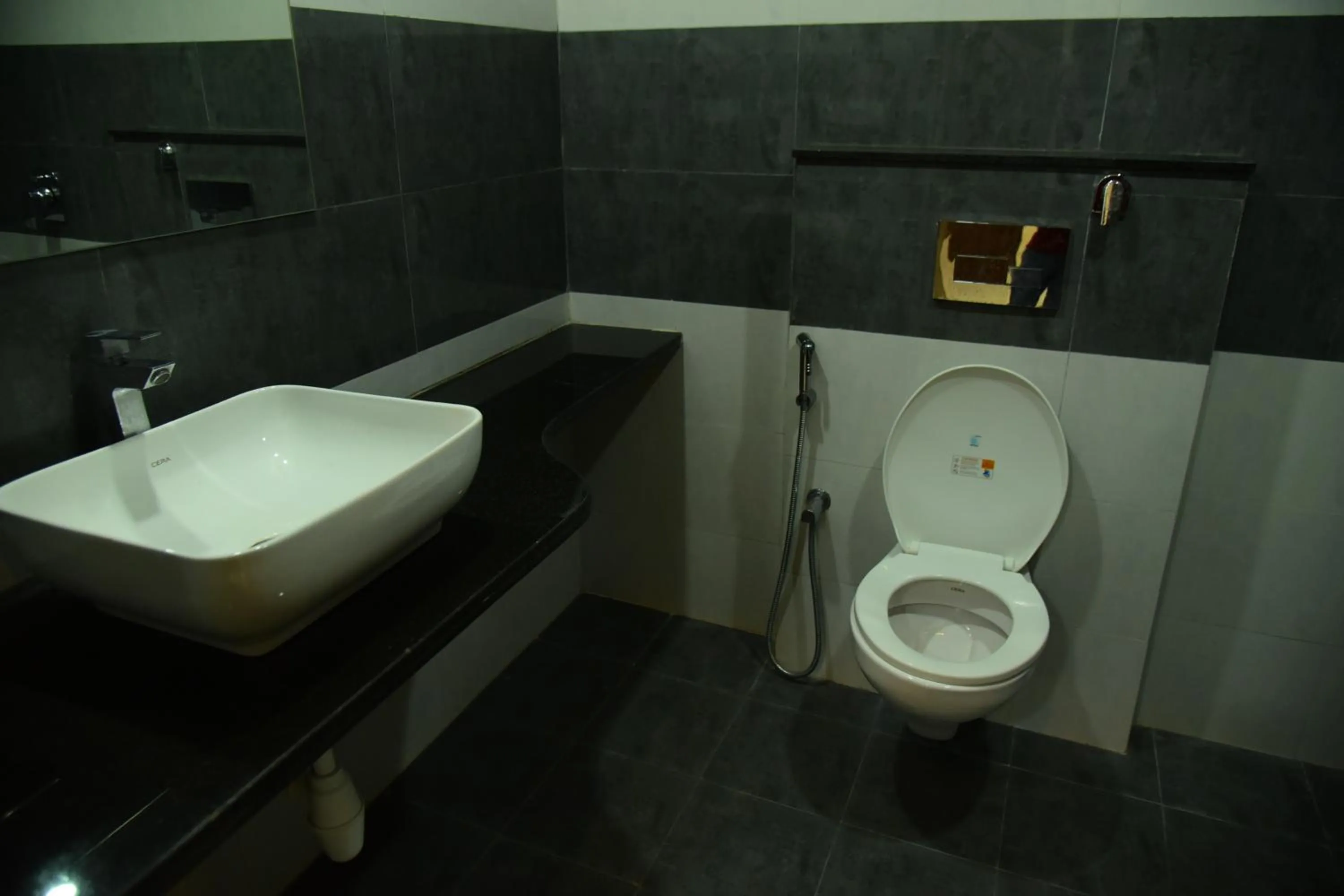 Bathroom in Hotel Savera Palace