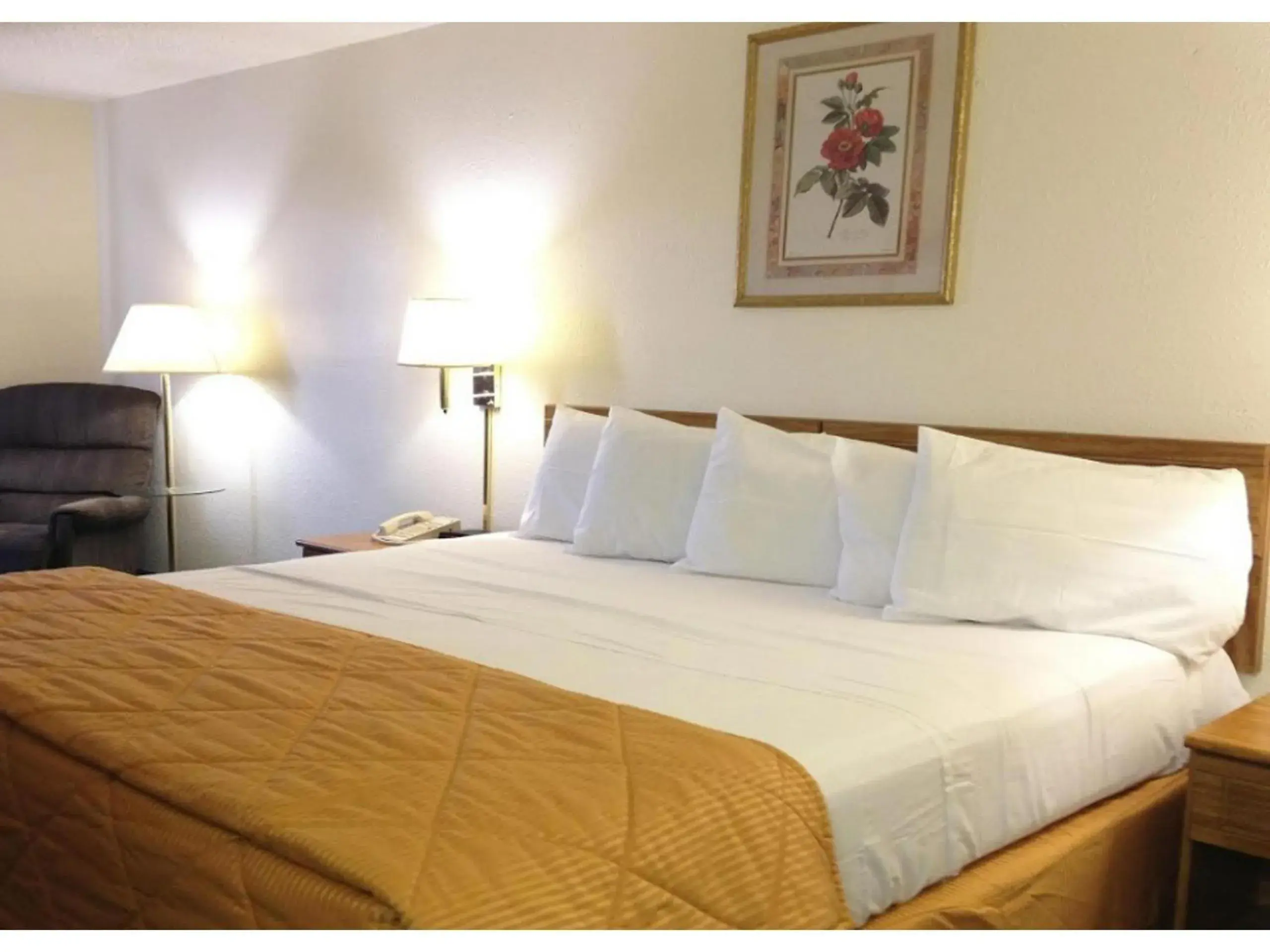 Bedroom, Bed in Capital O Amerihost Inn and Suites Mexico Hwy 54 MO Bedroom, Bed in Capital O Amerihost Inn and Suites Mexico Hwy 54 MO