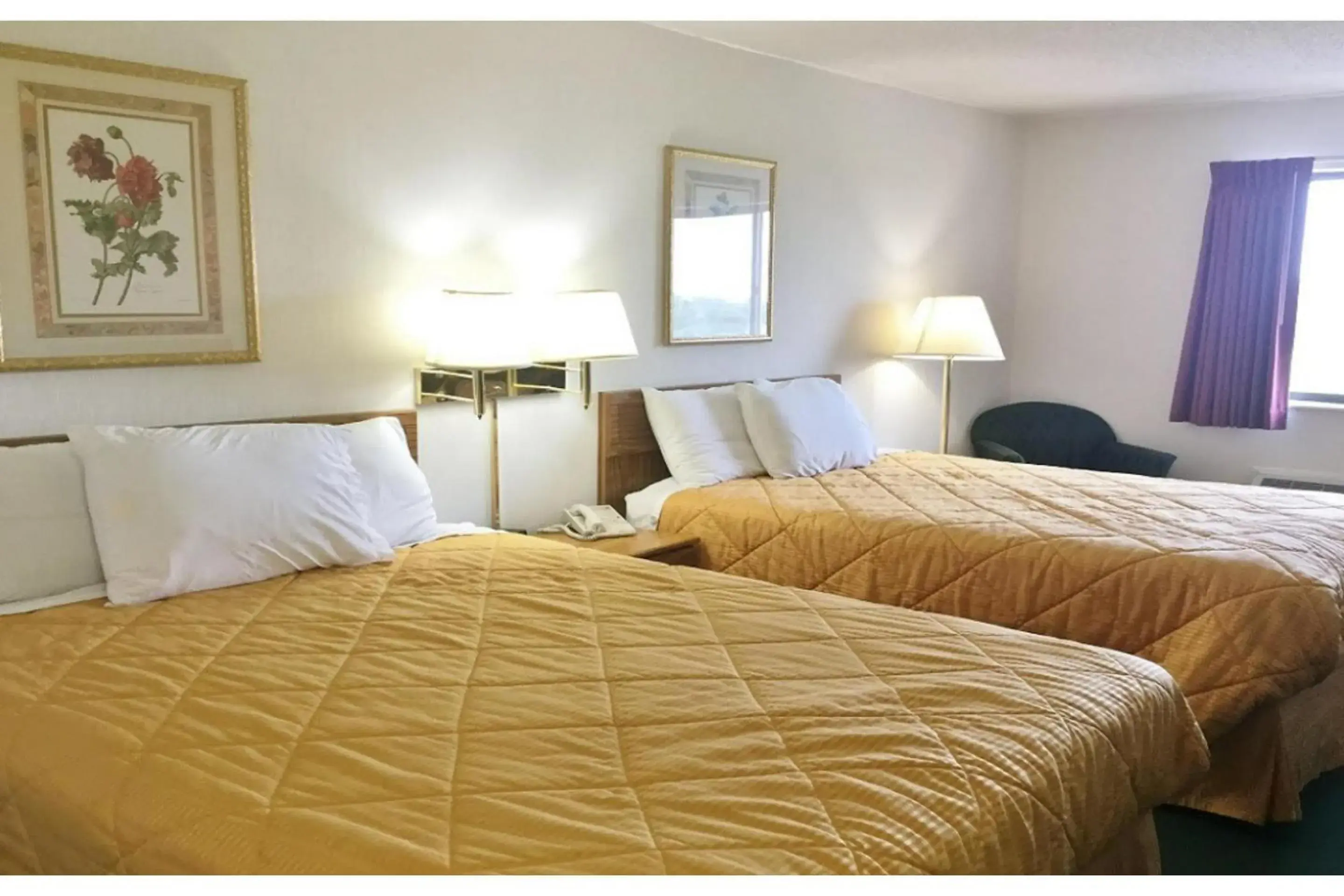 Bedroom, Bed in Capital O Amerihost Inn and Suites Mexico Hwy 54 MO Bedroom, Bed in Capital O Amerihost Inn and Suites Mexico Hwy 54 MO