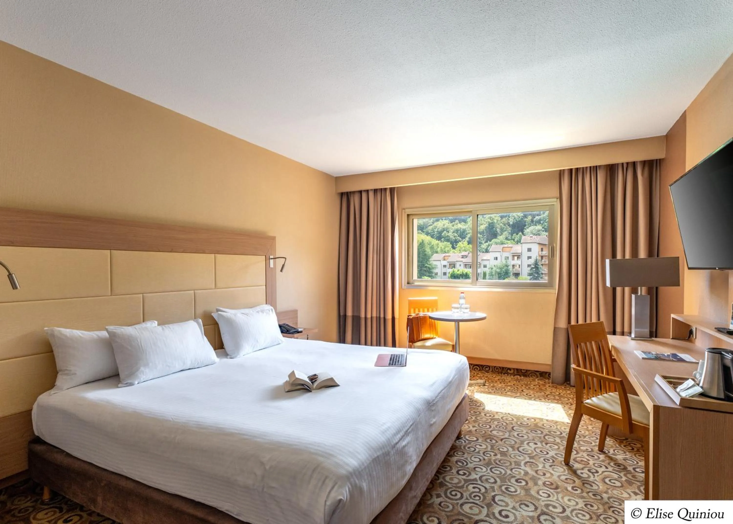 Photo of the whole room, Bed in Hôtel Lyon Métropole & Spa