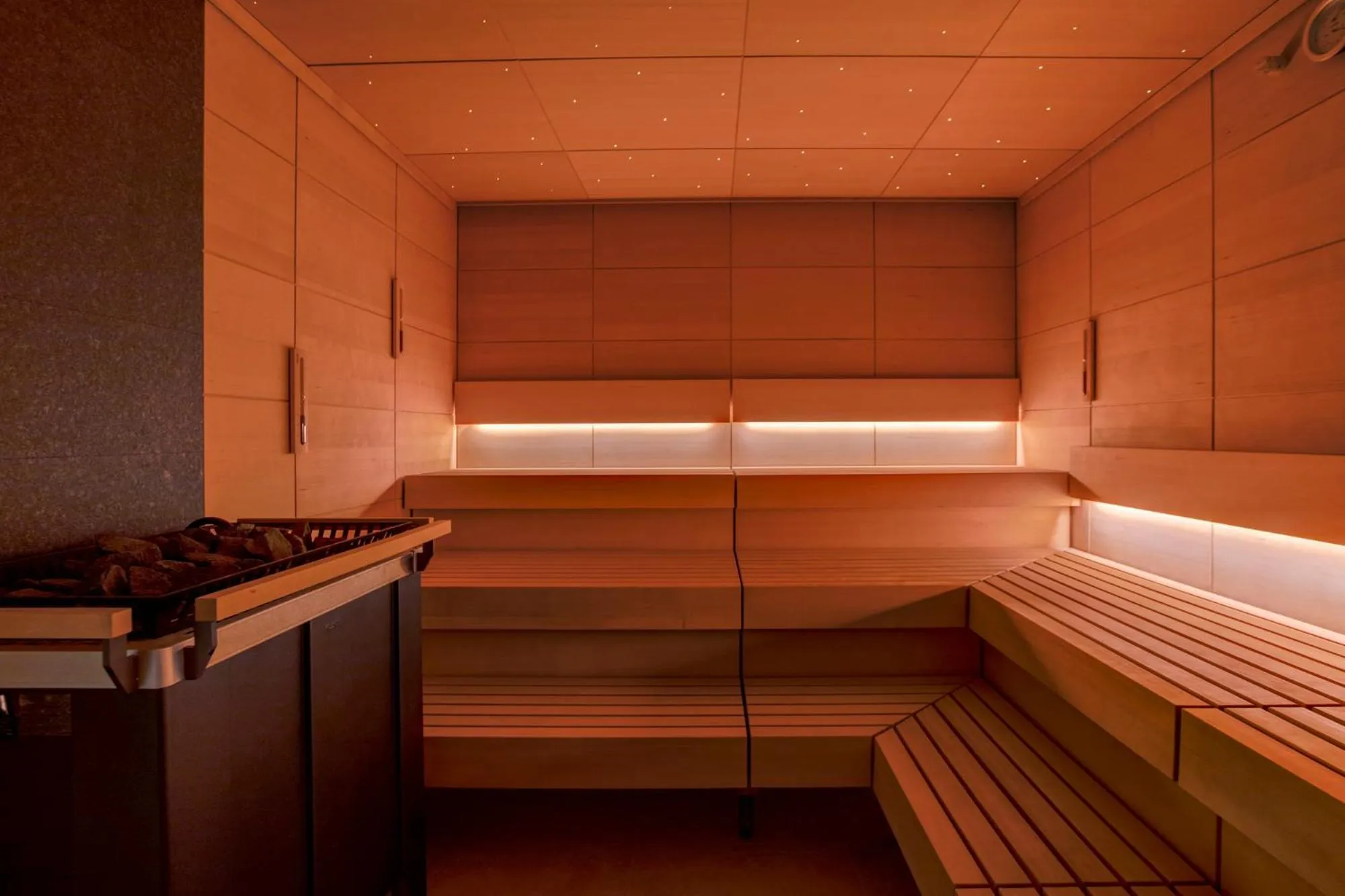 Sauna in Hôtel Lyon Métropole & Spa