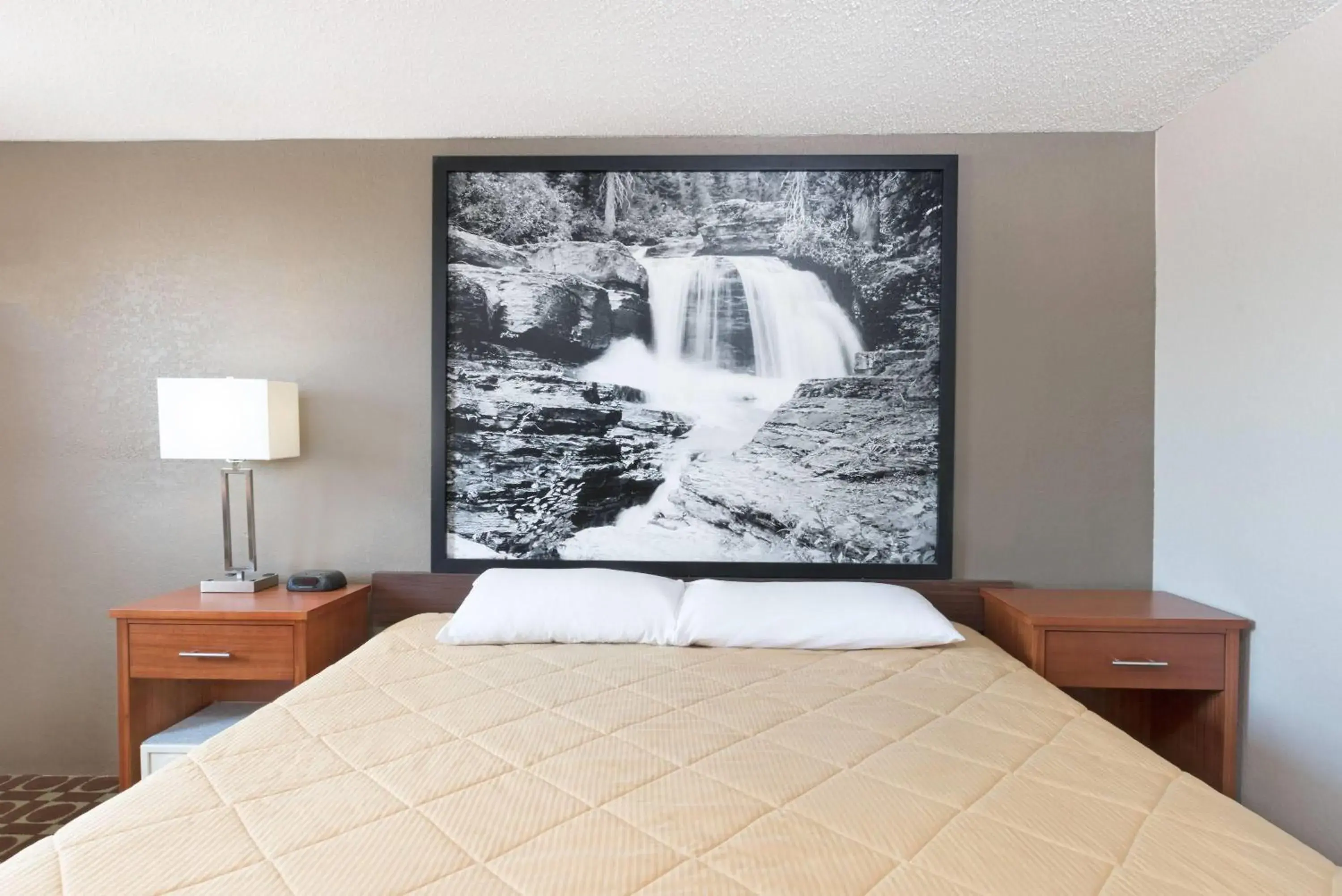 Photo of the whole room, Bed in Super 8 by Wyndham Miles City Photo of the whole room, Bed in Super 8 by Wyndham Miles City