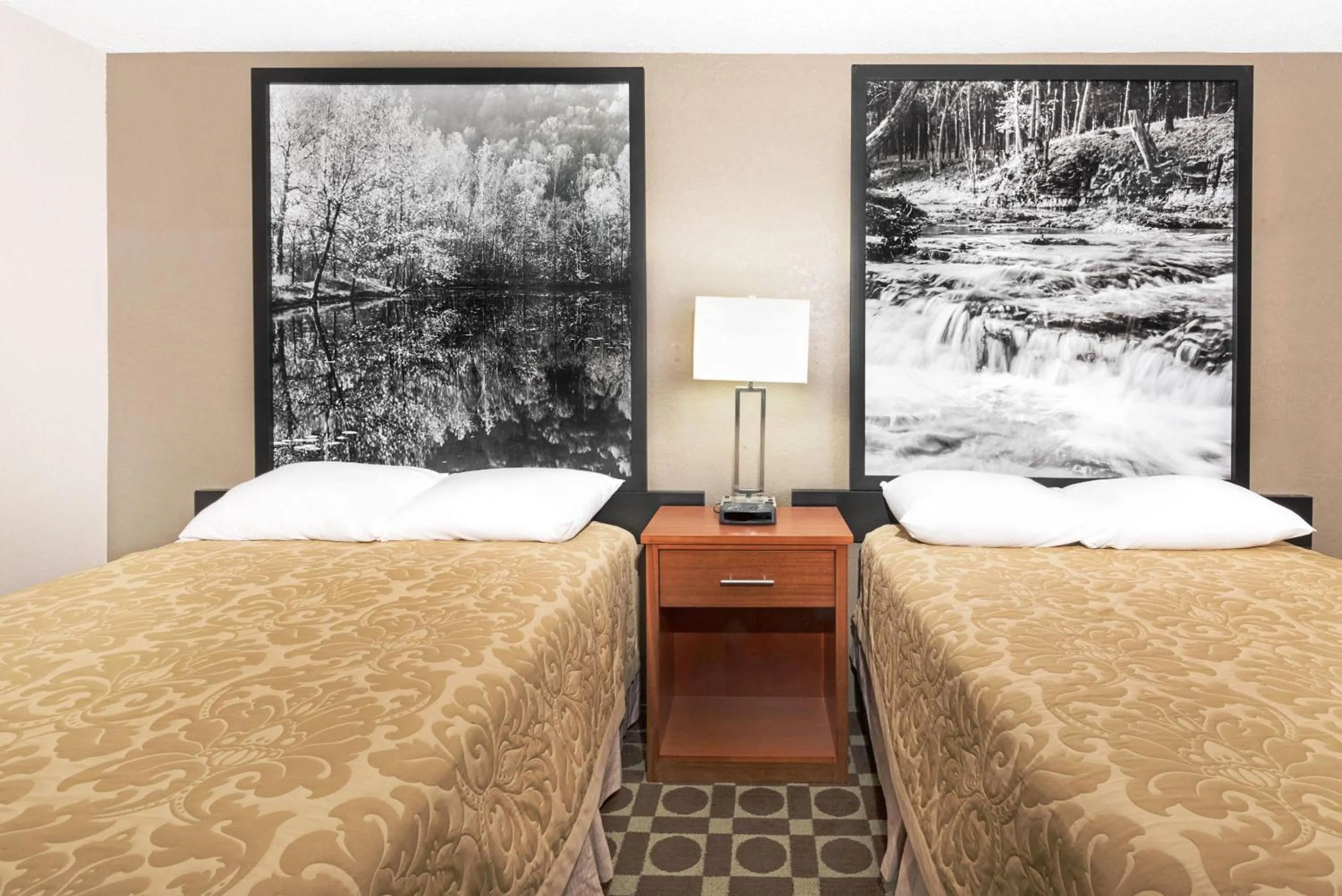 Photo of the whole room, Bed in Super 8 by Wyndham Miles City