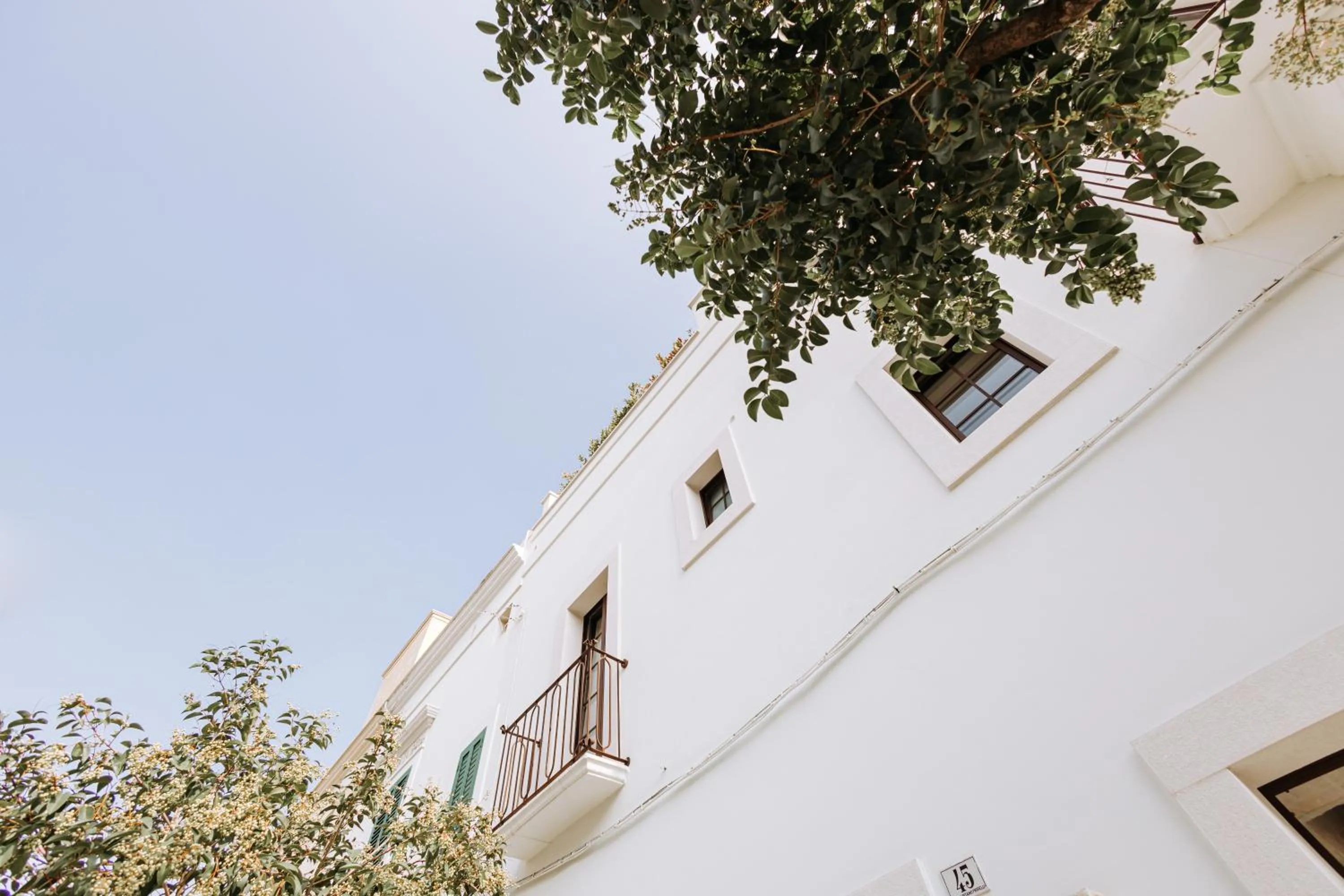 Suite1212 - Pirrelli