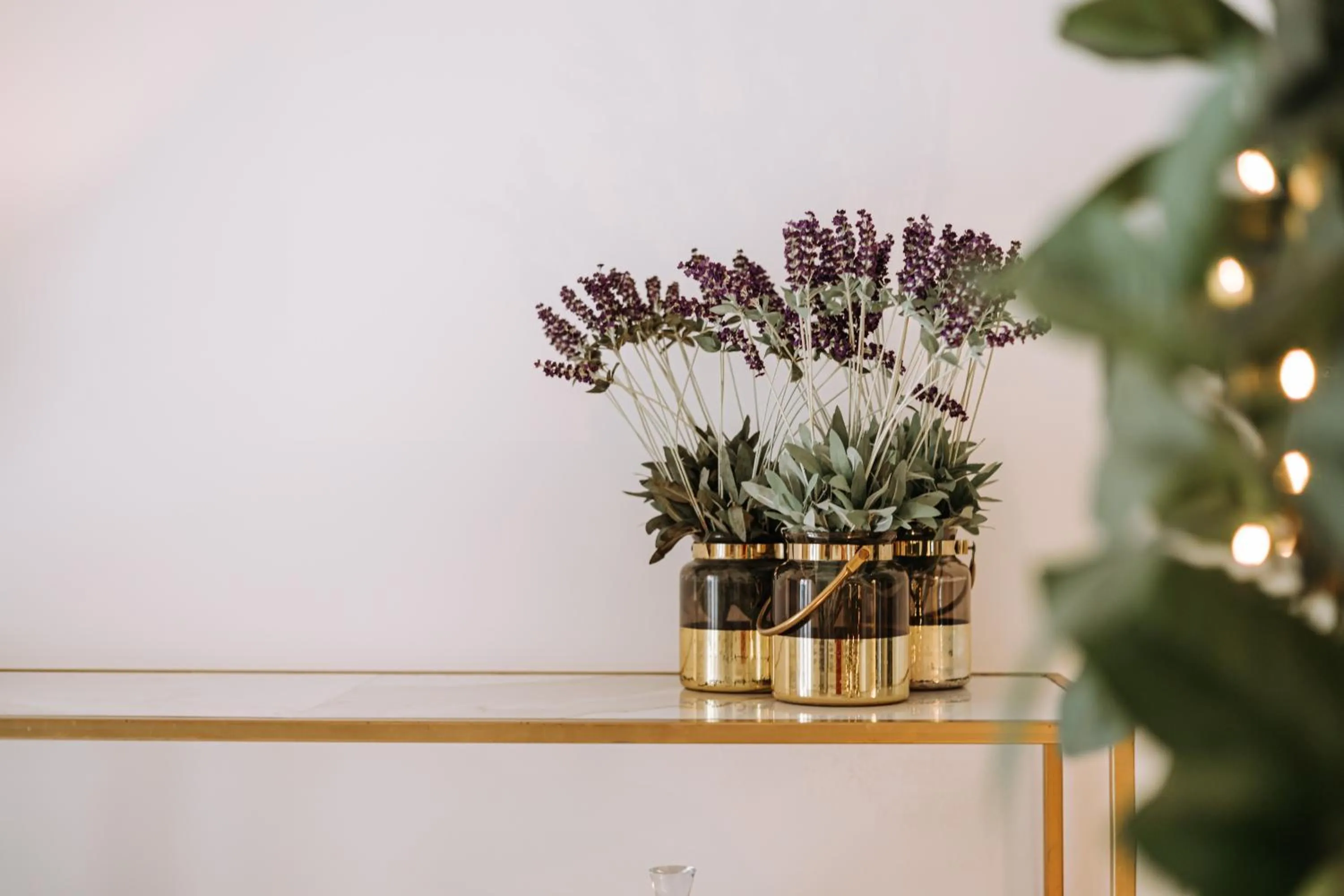 Suite1212 - Pirrelli