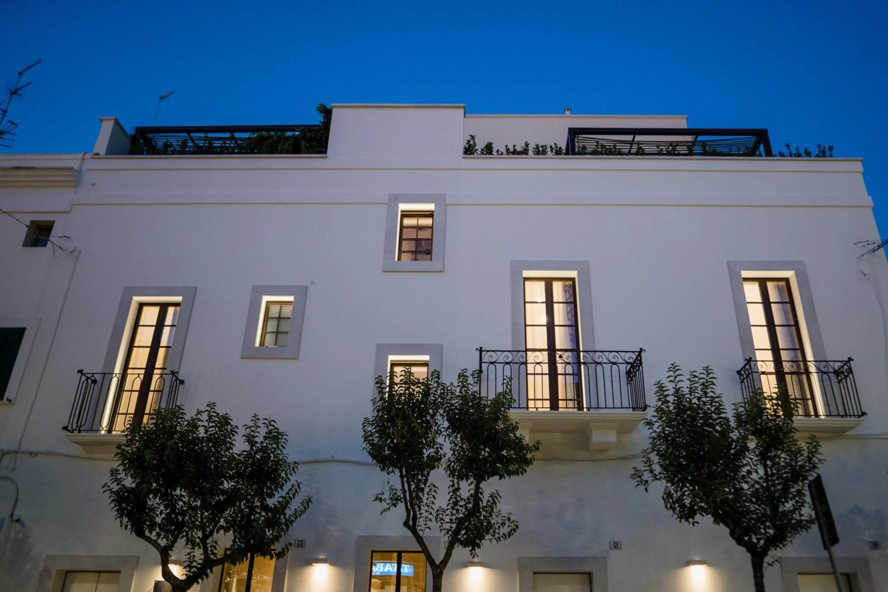 Suite1212 - Pirrelli