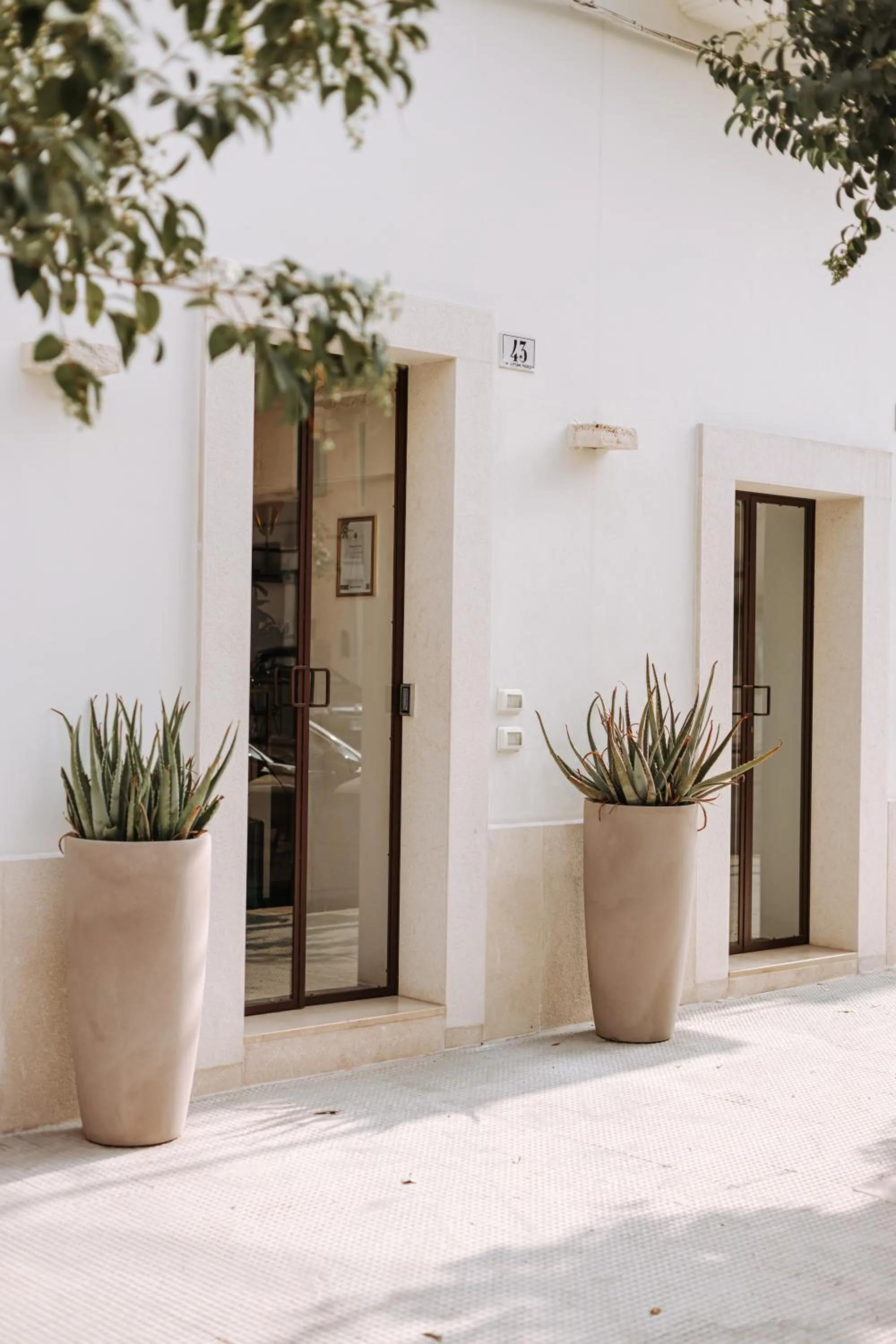 Suite1212 - Pirrelli