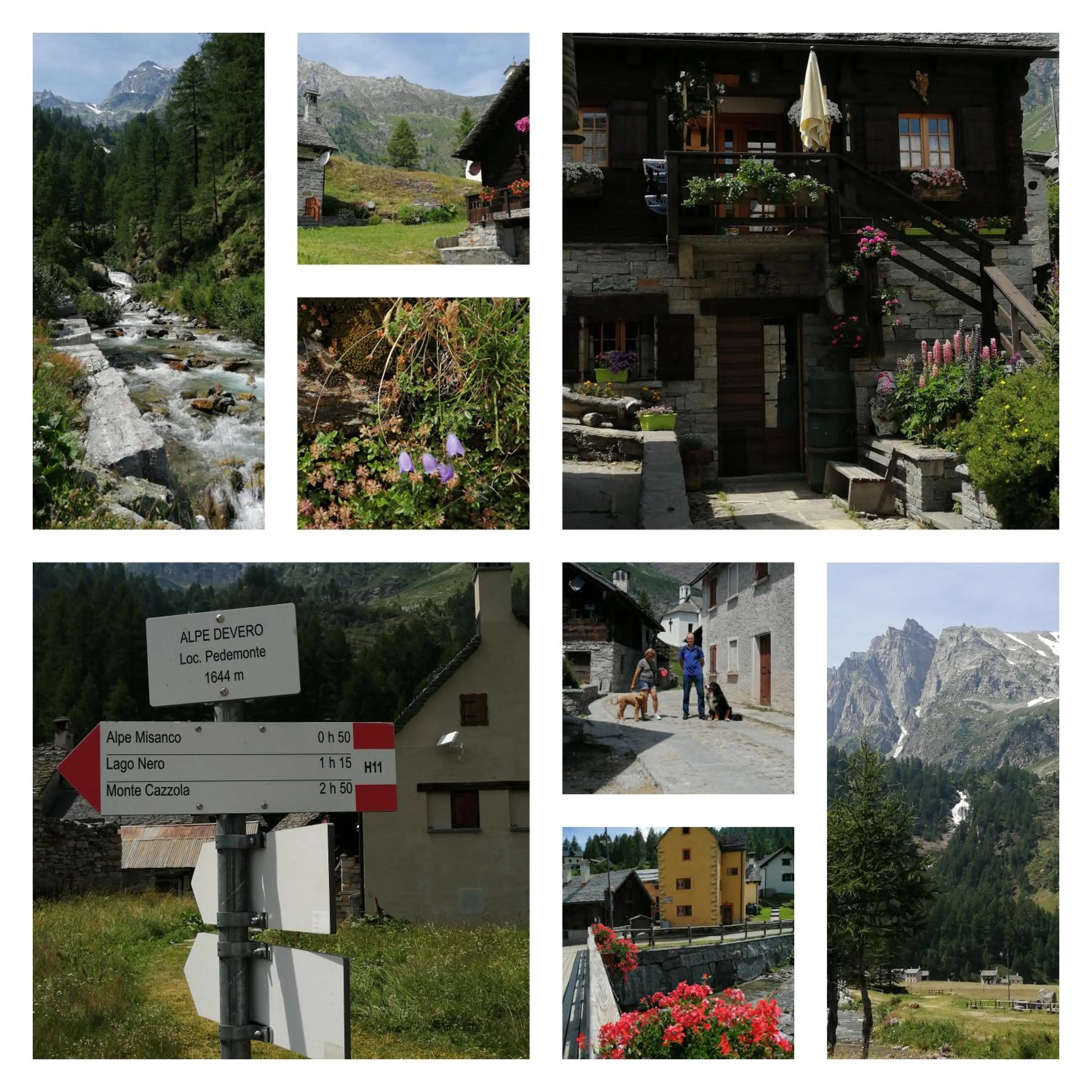 Villa Magnolia BB, Lago Maggiore (Massino Visconti, Italy)