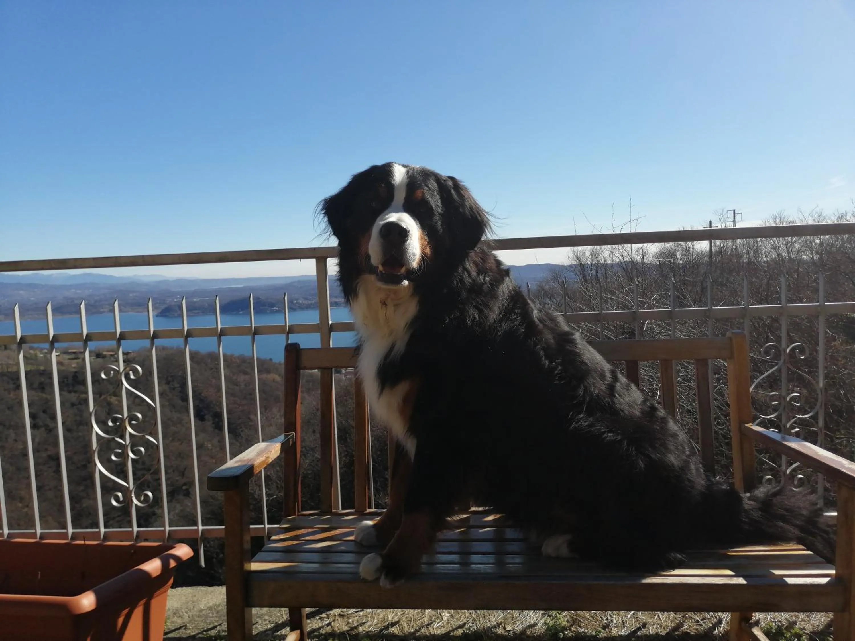 Villa Magnolia BB, Lago Maggiore (Massino Visconti, Italy)