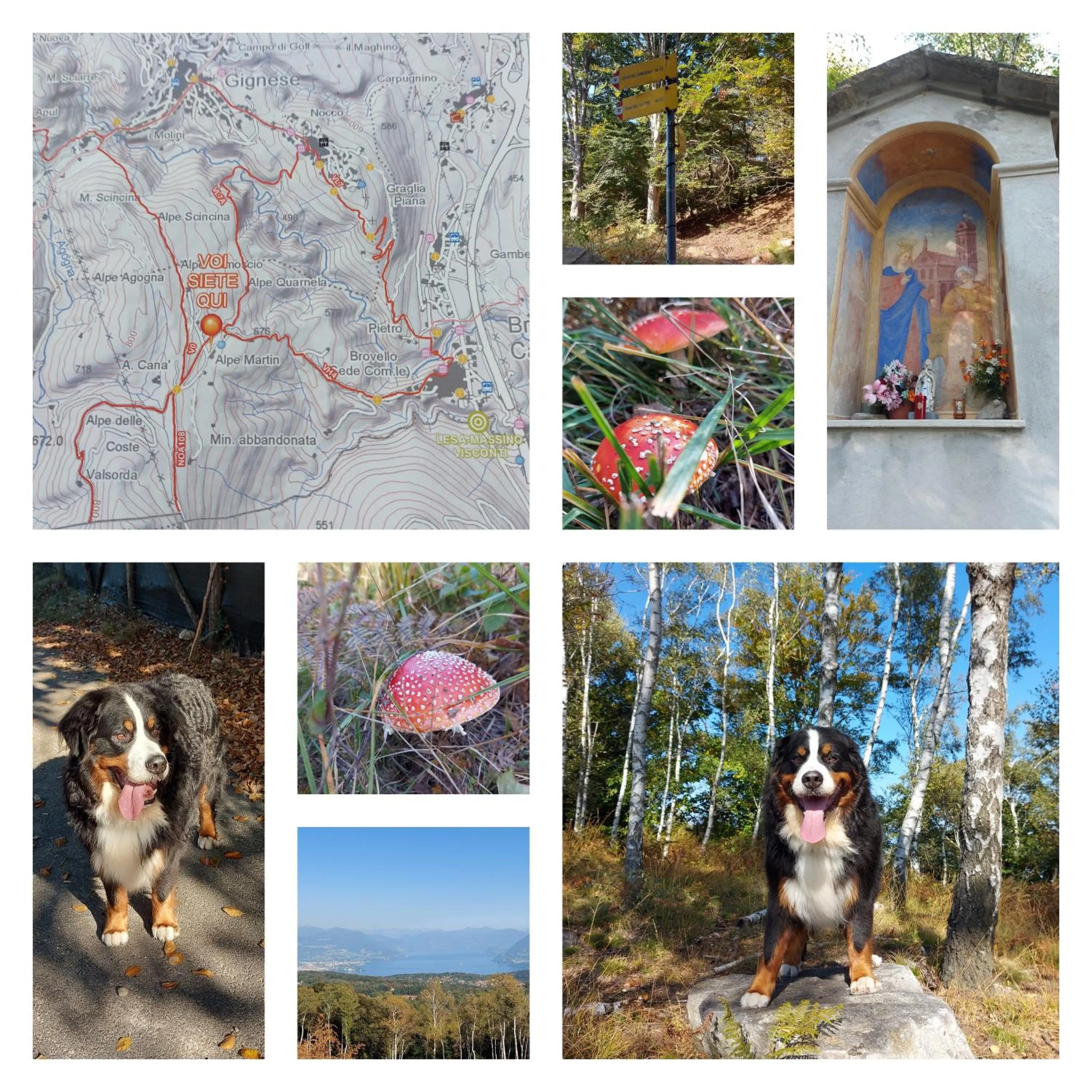 Villa Magnolia BB, Lago Maggiore (Massino Visconti, Italy)