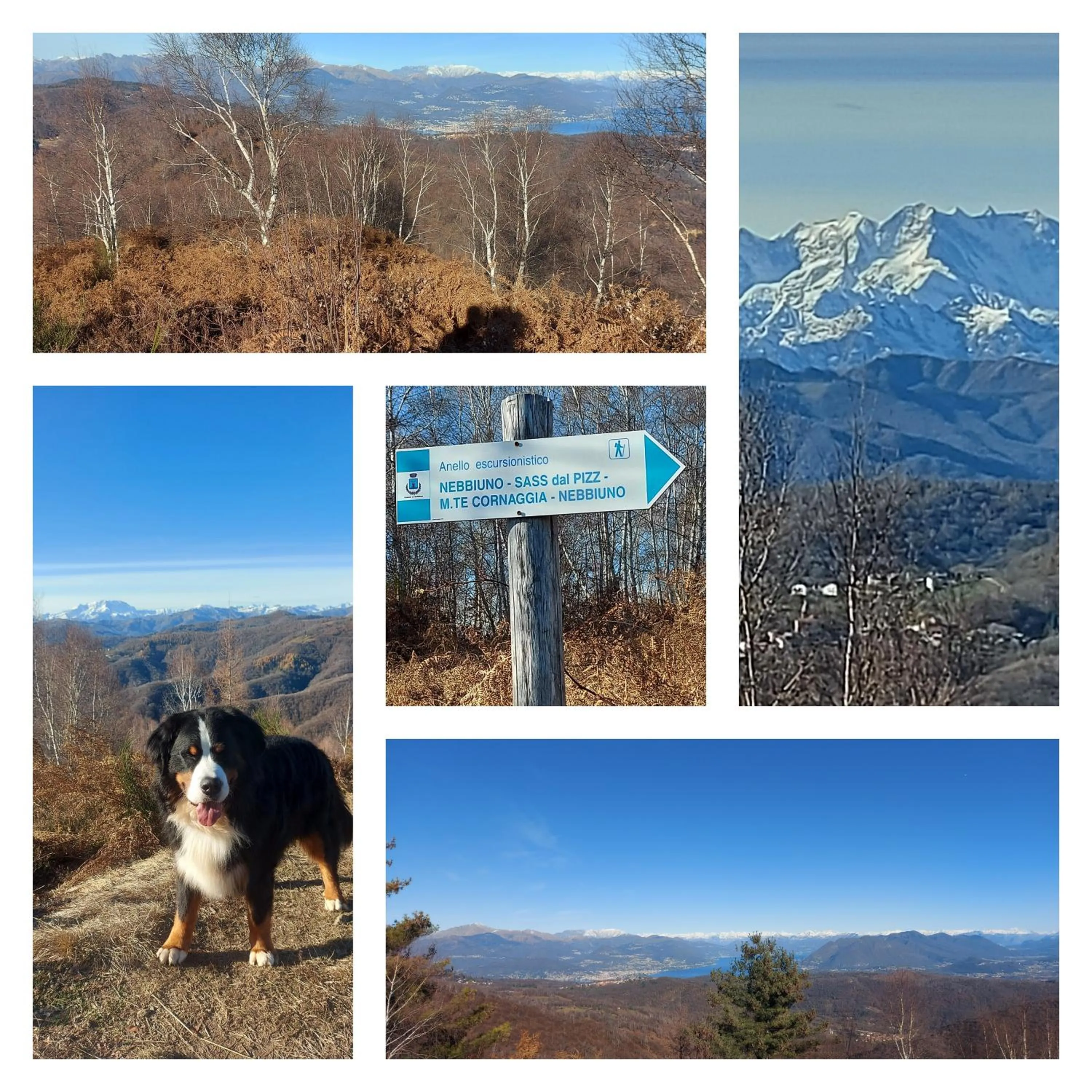 Villa Magnolia BB, Lago Maggiore (Massino Visconti, Italy)