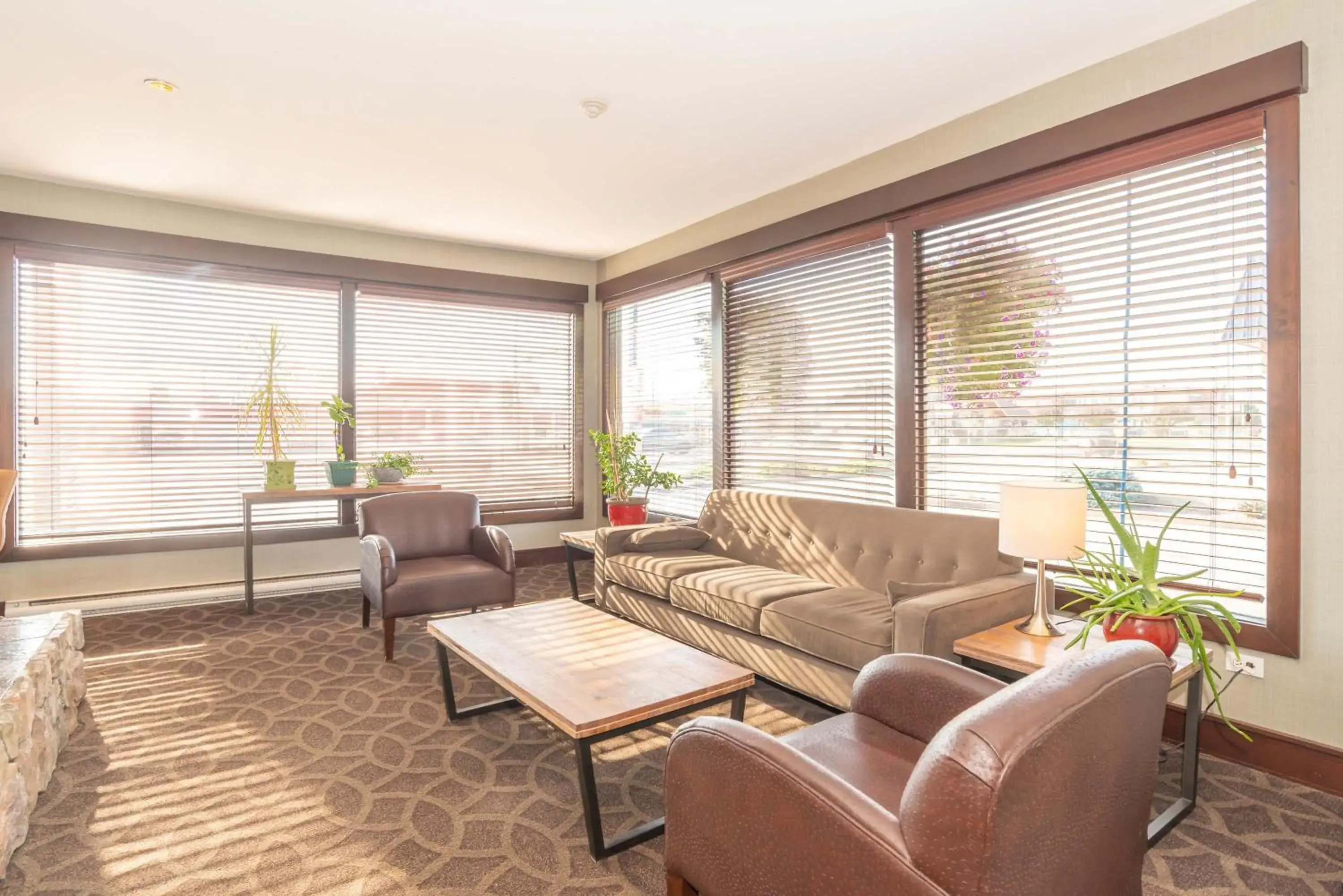 Lobby or reception in Sandman Hotel Cranbrook Lobby or reception in Sandman Hotel Cranbrook