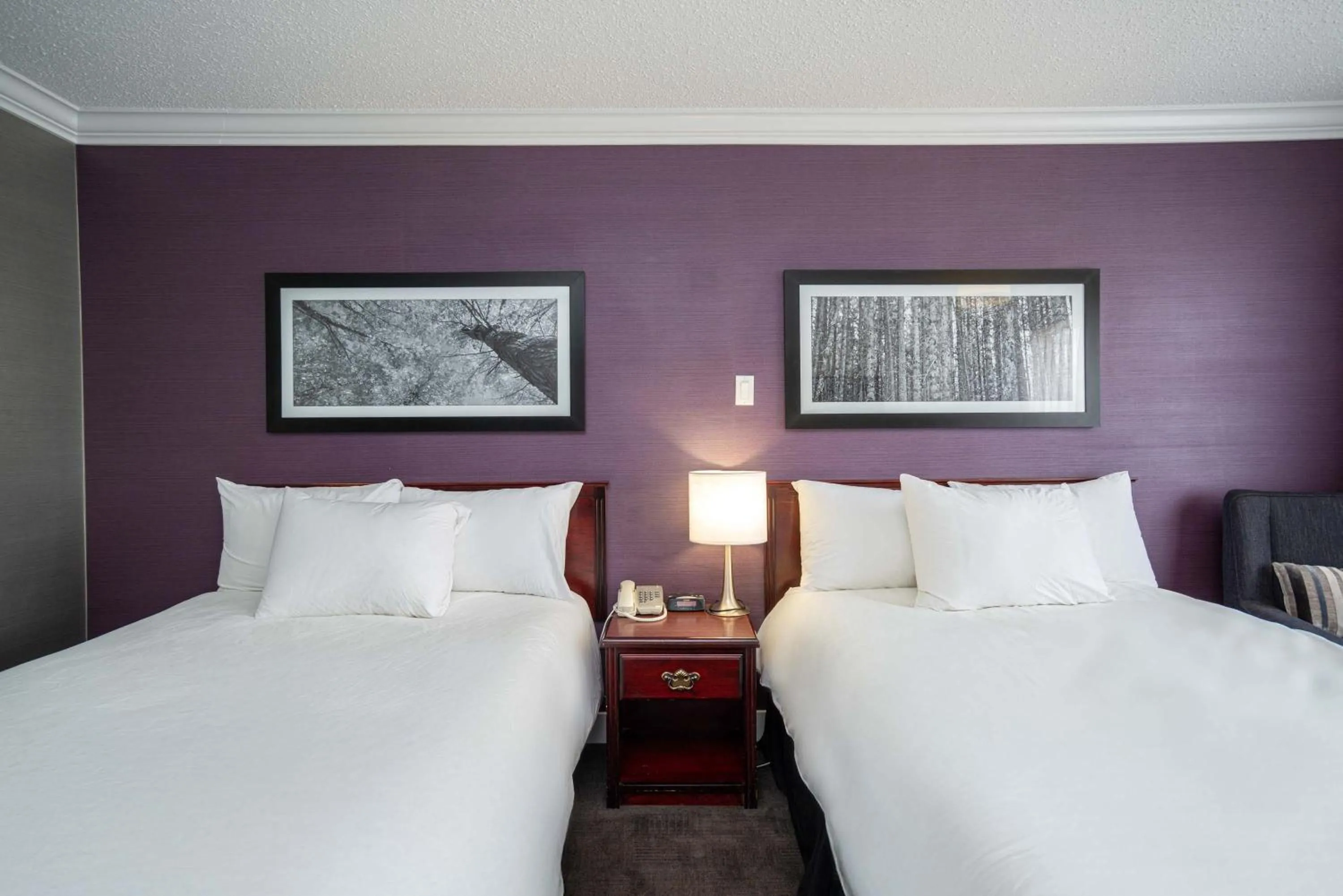 Photo of the whole room, Bed in Sandman Hotel & Suites Williams Lake