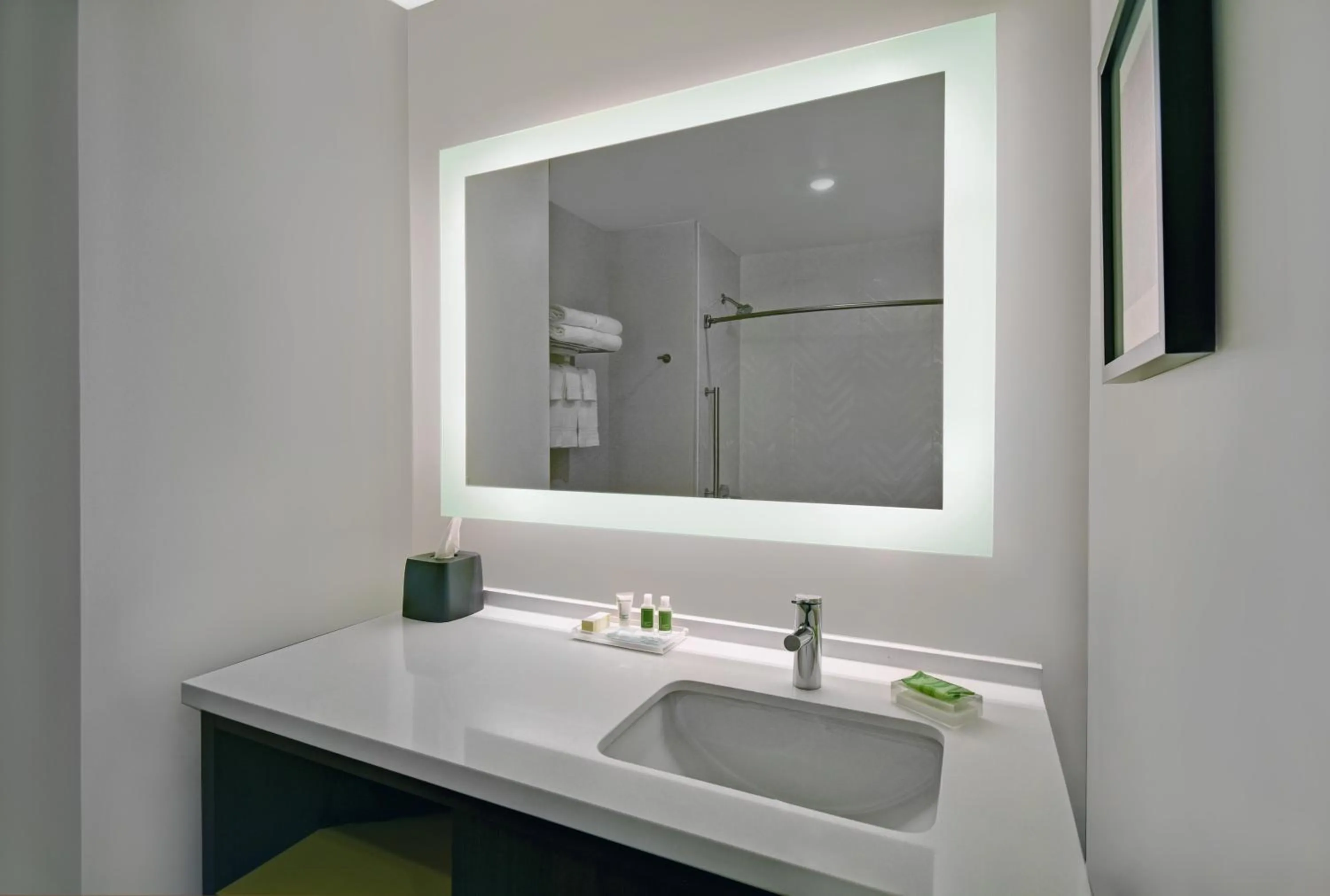 Bathroom in Holiday Inn Grand Rapids North - Walker by IHG