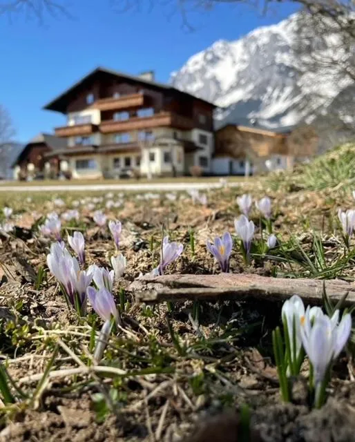 Pension Möslehnerhof