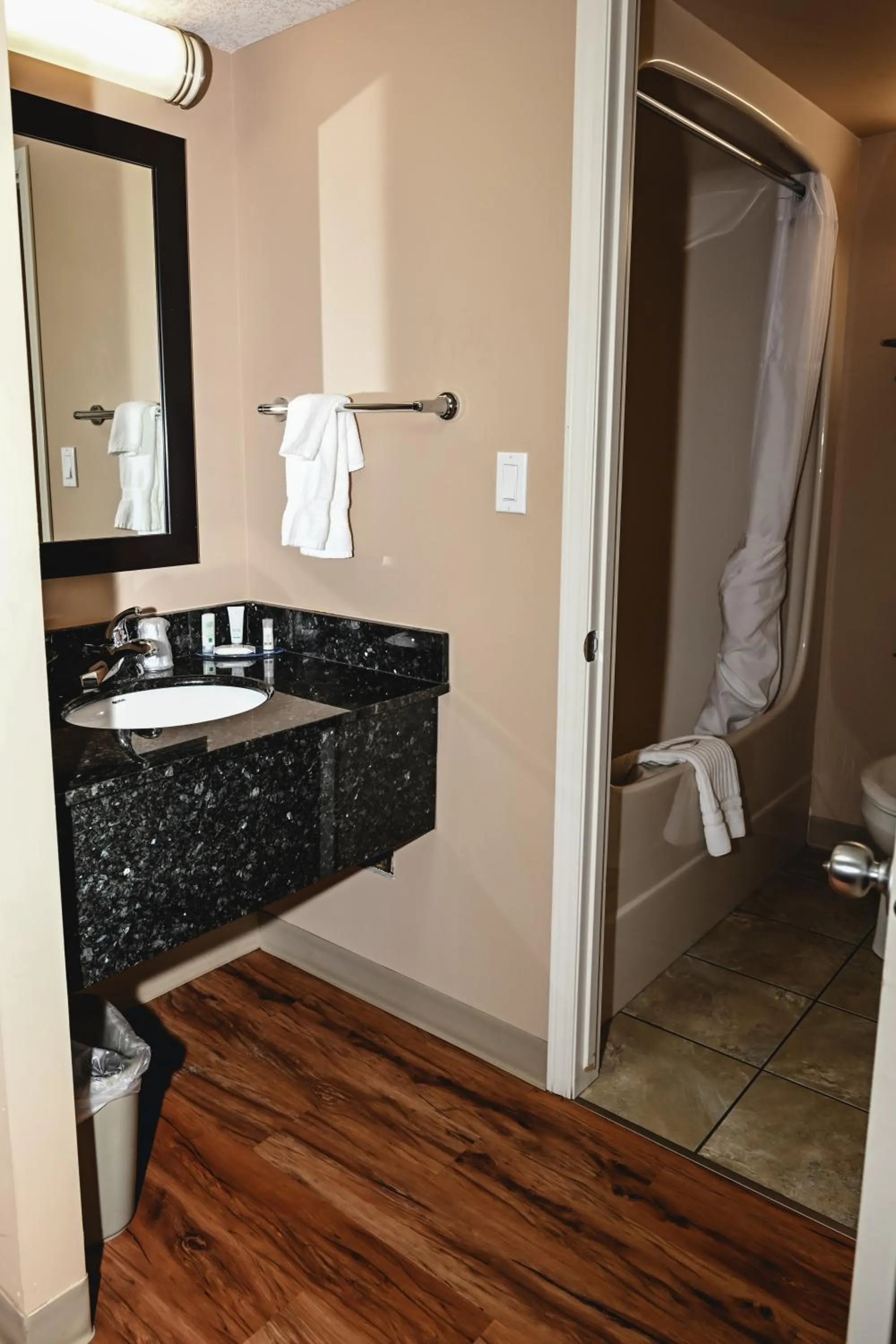 Shower in Quality Hotel & Conference Centre