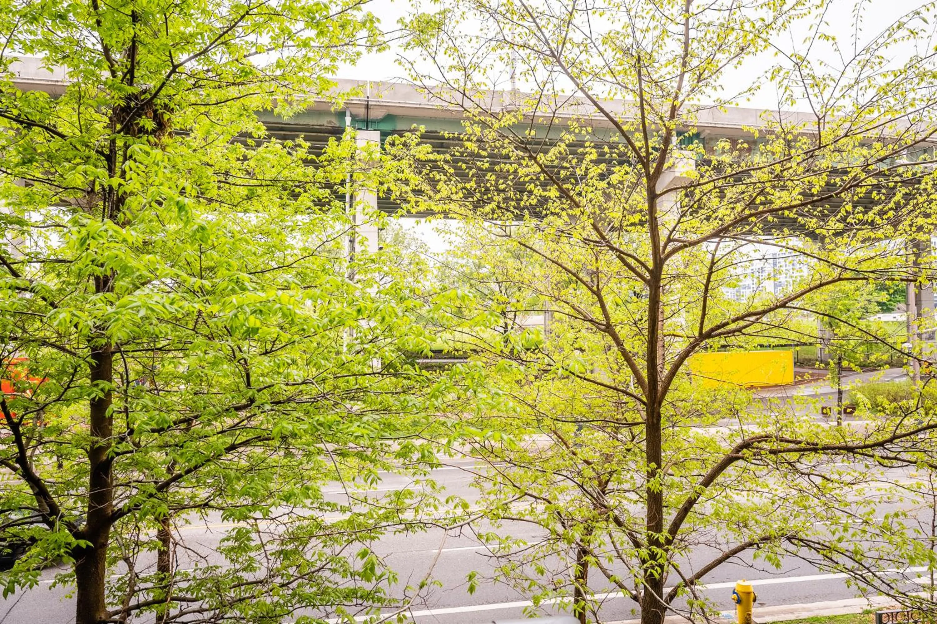 Day in GLOBALSTAY Magnificent Condos in DT