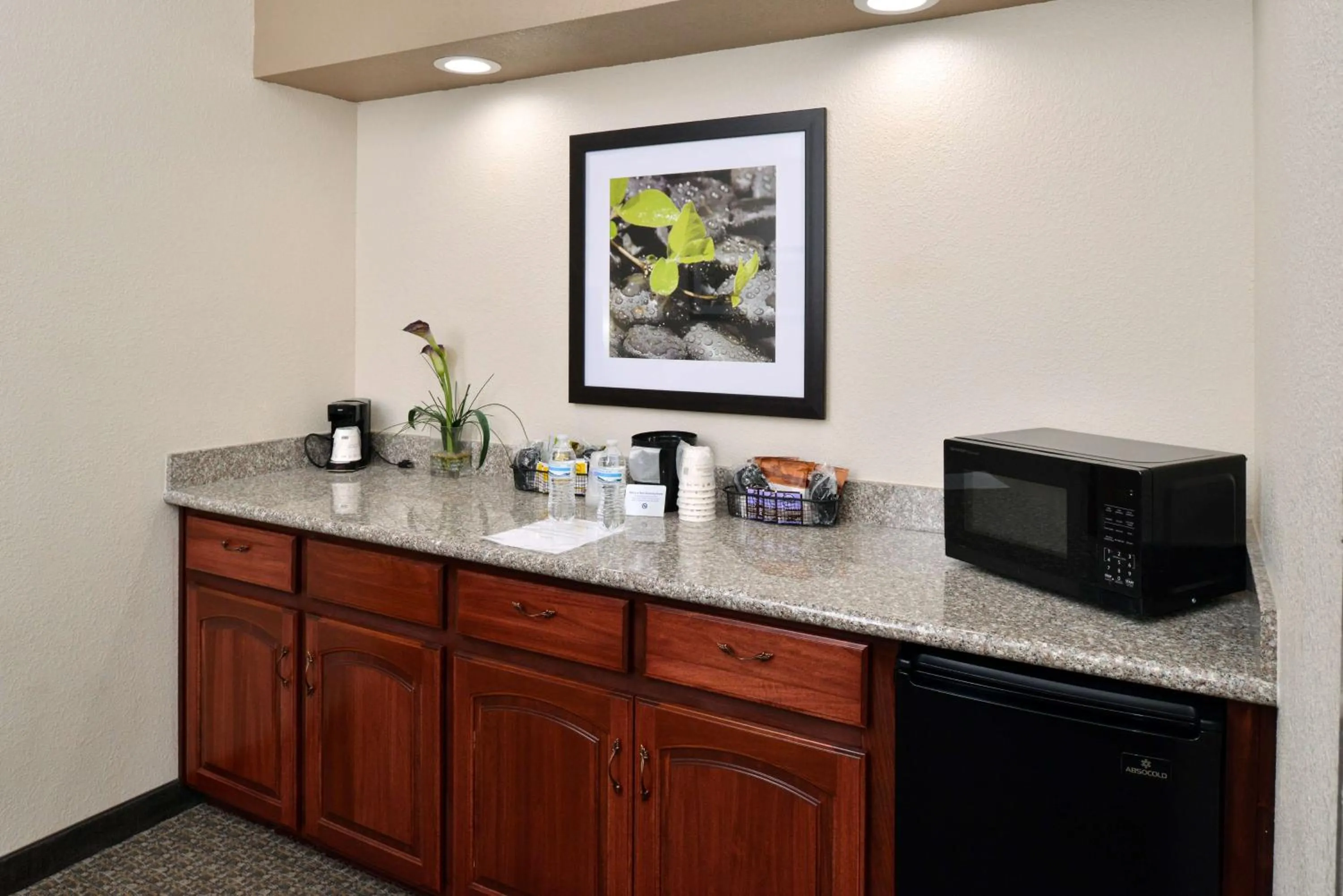 Bedroom in Best Western Big Spring Lodge
