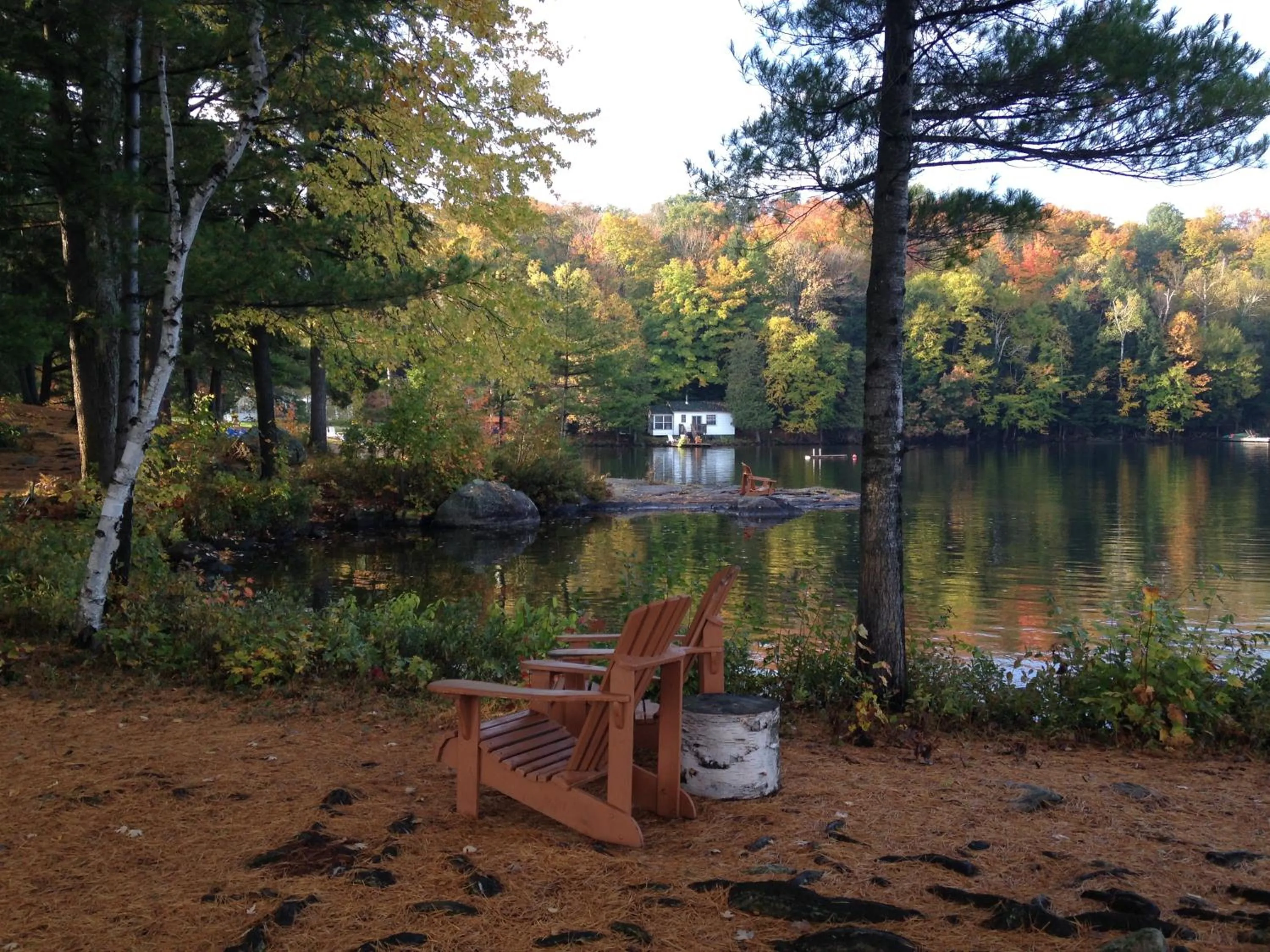Area and facilities in Sherwood Inn