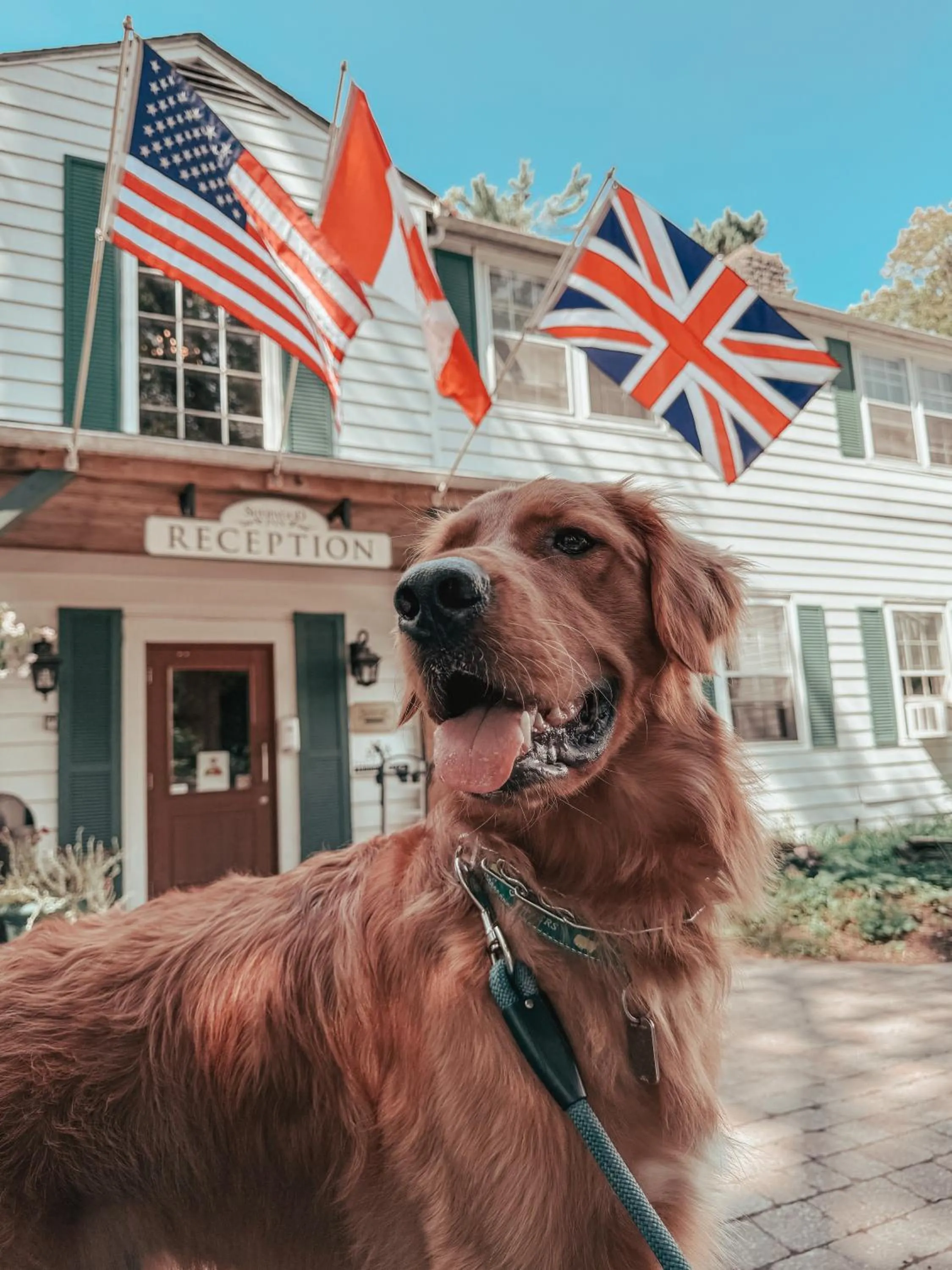 Property building in Sherwood Inn