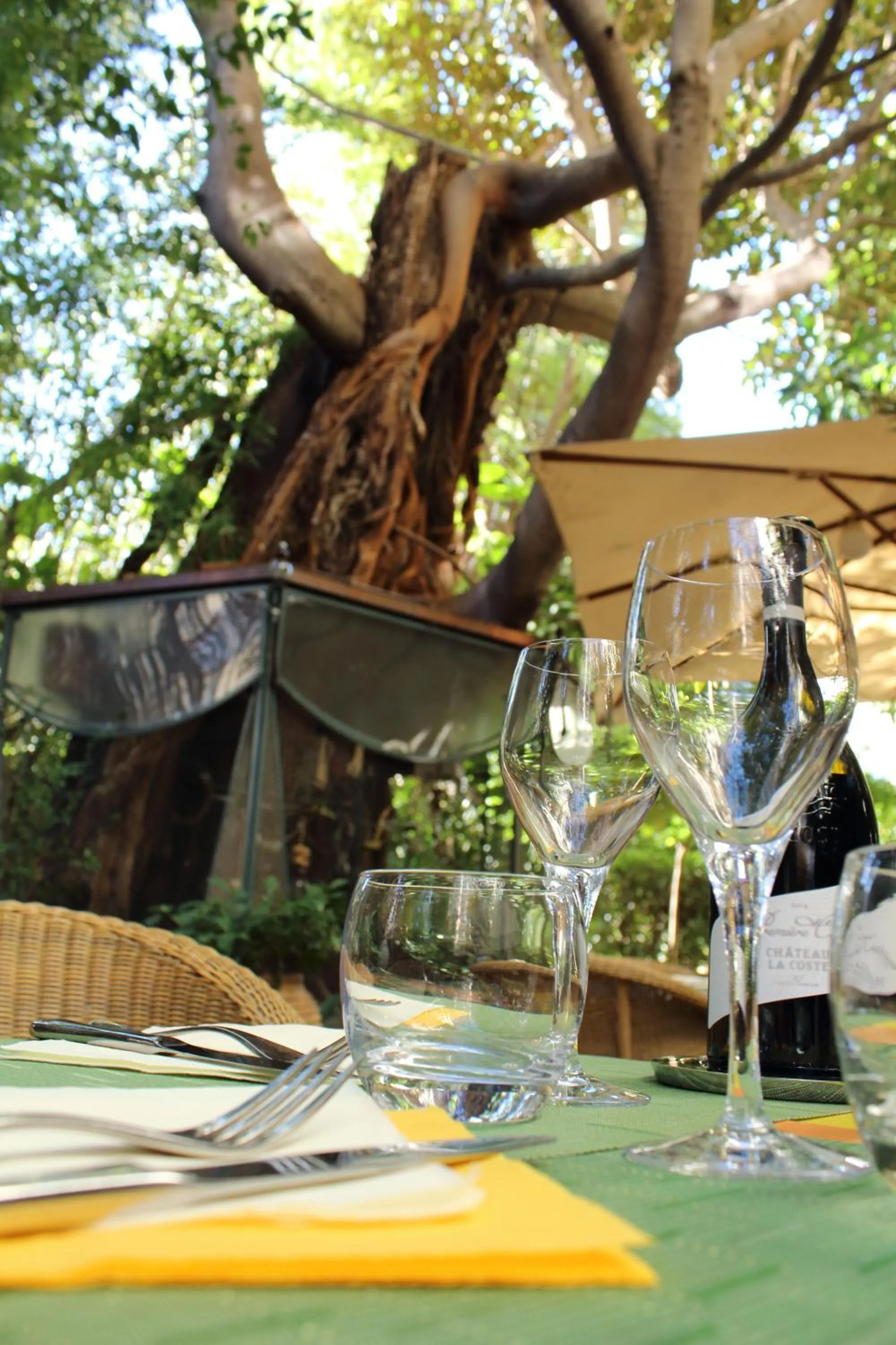 Restaurant/places to eat in Le Windsor, Jungle Art Hotel