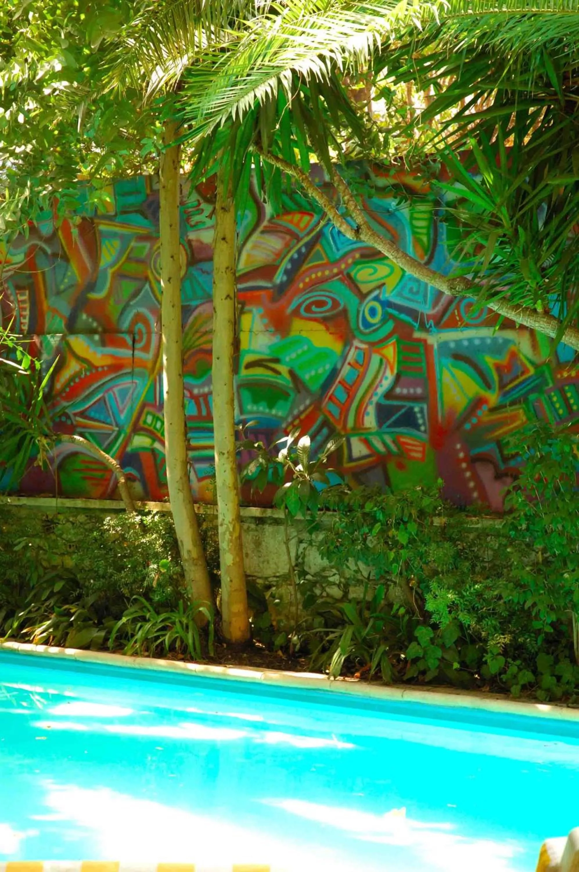 Swimming pool in Le Windsor, Jungle Art Hotel