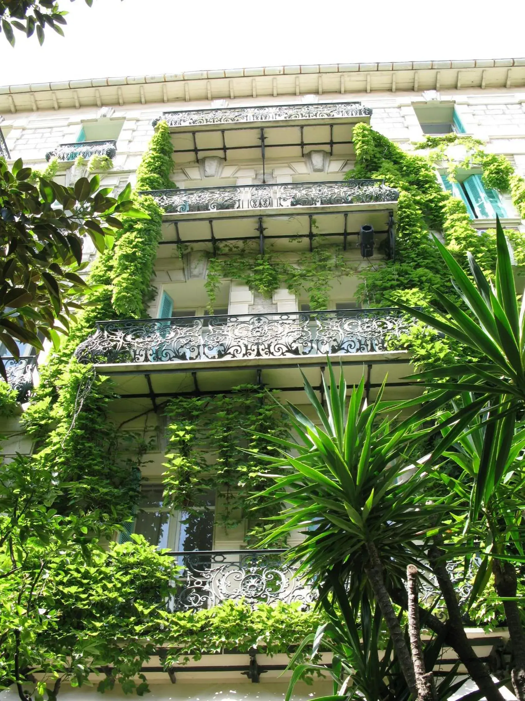 Facade/entrance in Le Windsor, Jungle Art Hotel Facade/entrance in Le Windsor, Jungle Art Hotel