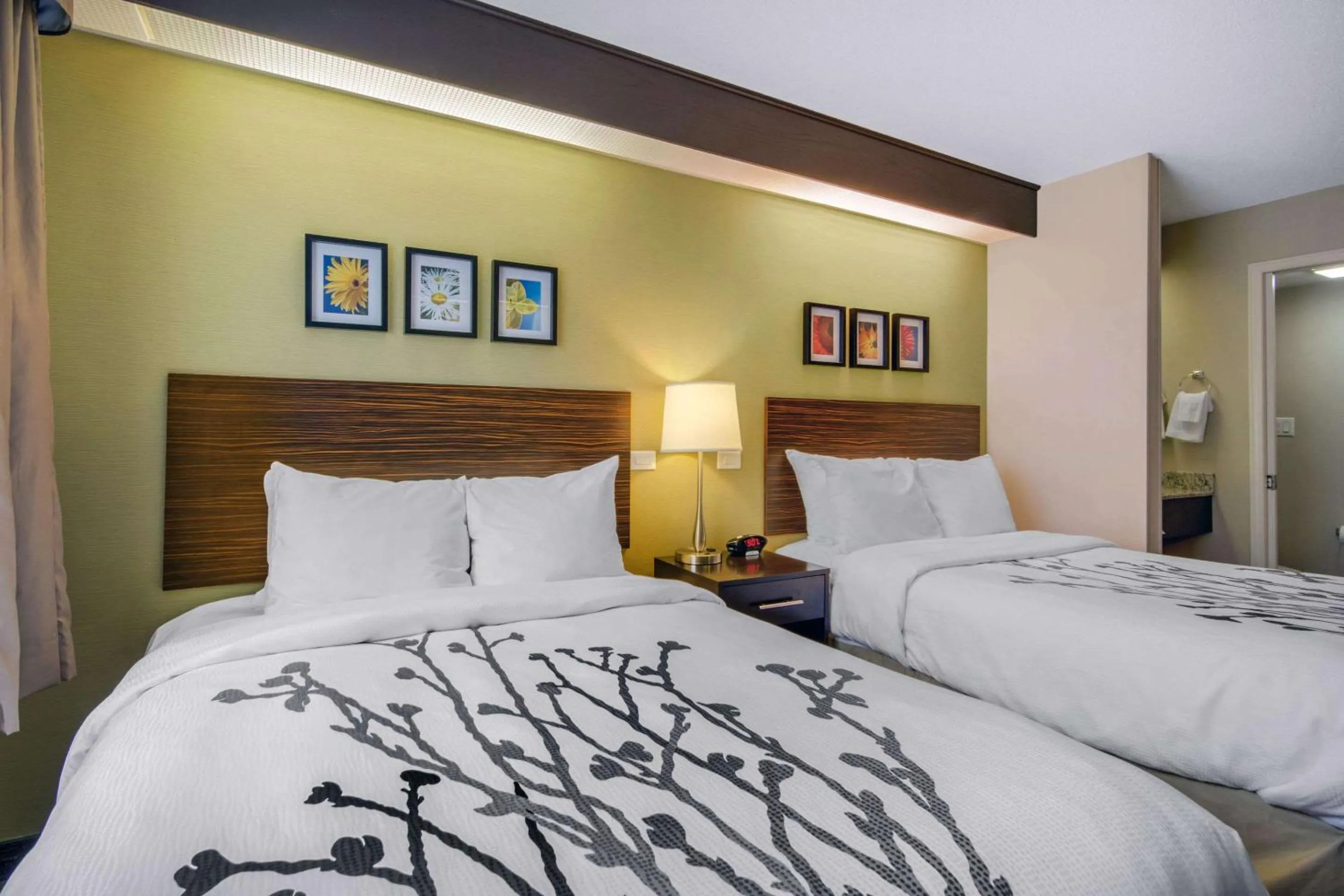 Photo of the whole room, Bed in Sleep Inn