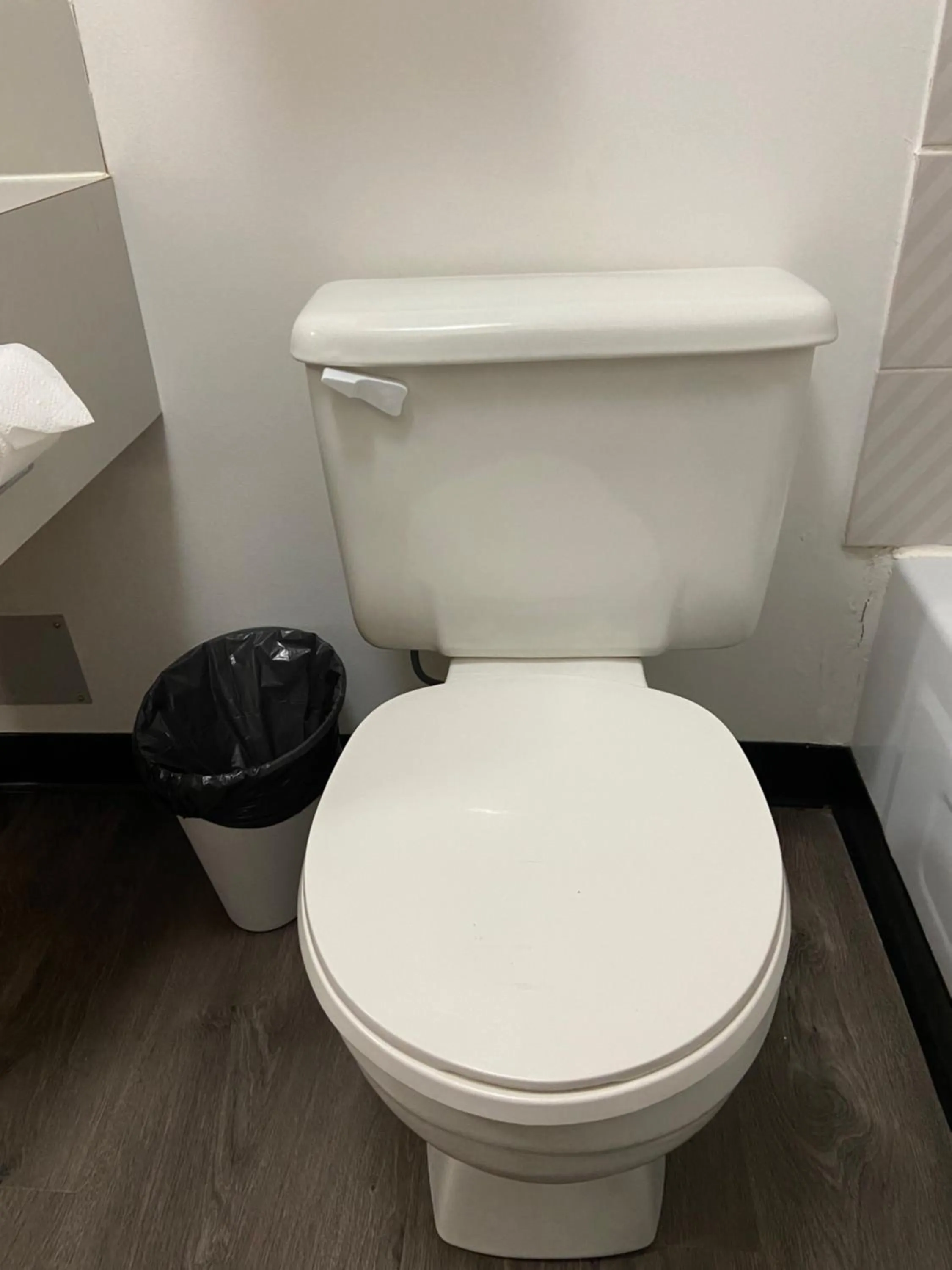 Toilet in Mountain View Motel
