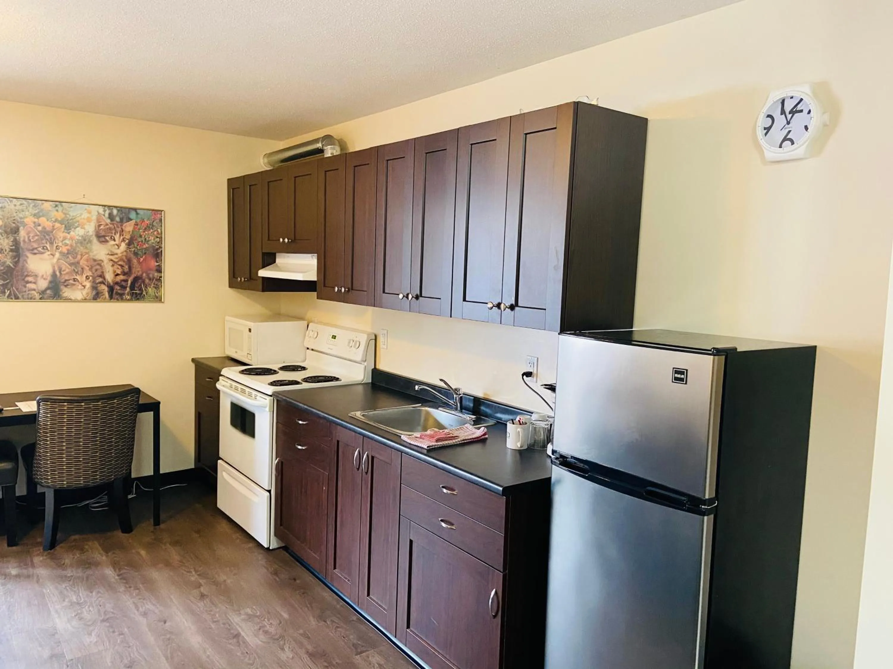 Kitchen or kitchenette in Mountain View Motel
