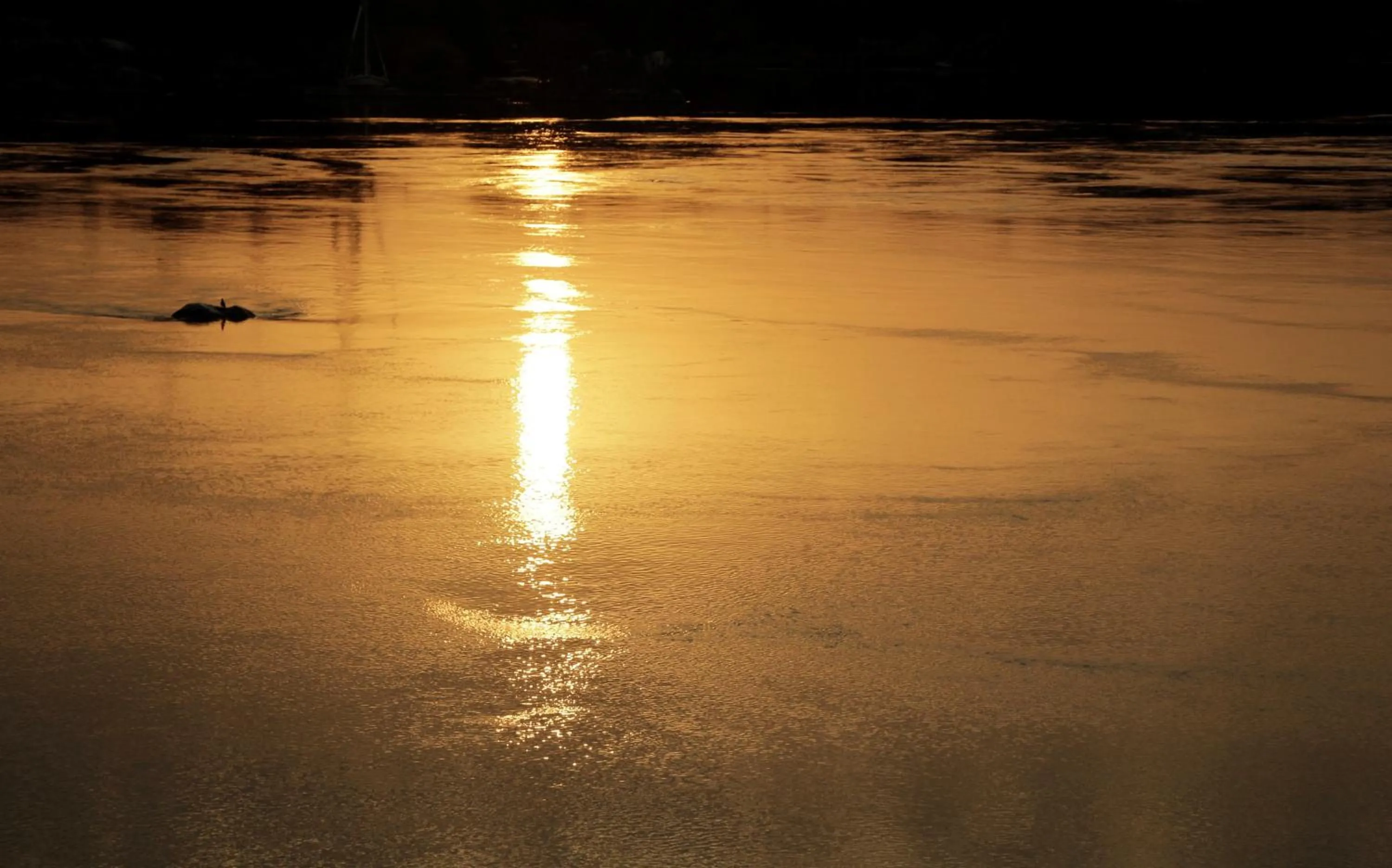 Kendaka Nubian House