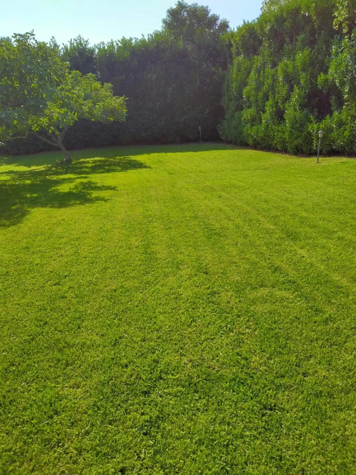 B&B la luna nel Pozzo