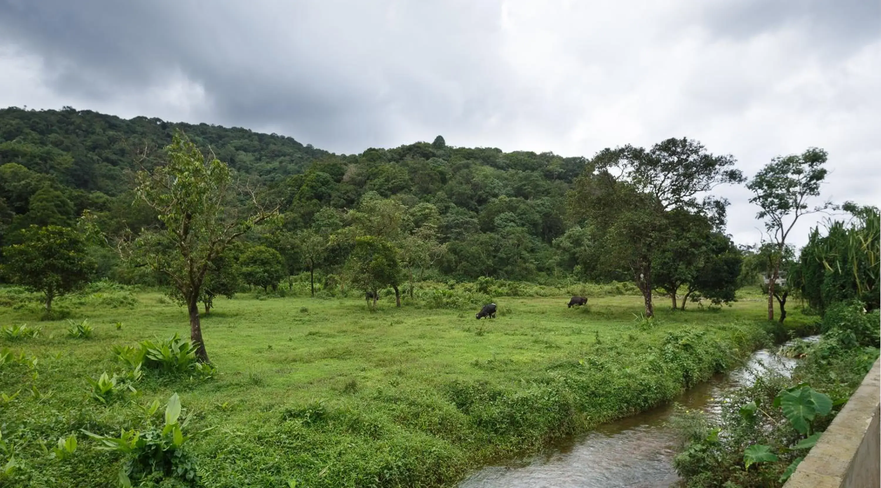 Property building in The Sanihara Hotel & Resort Property building in The Sanihara Hotel & Resort