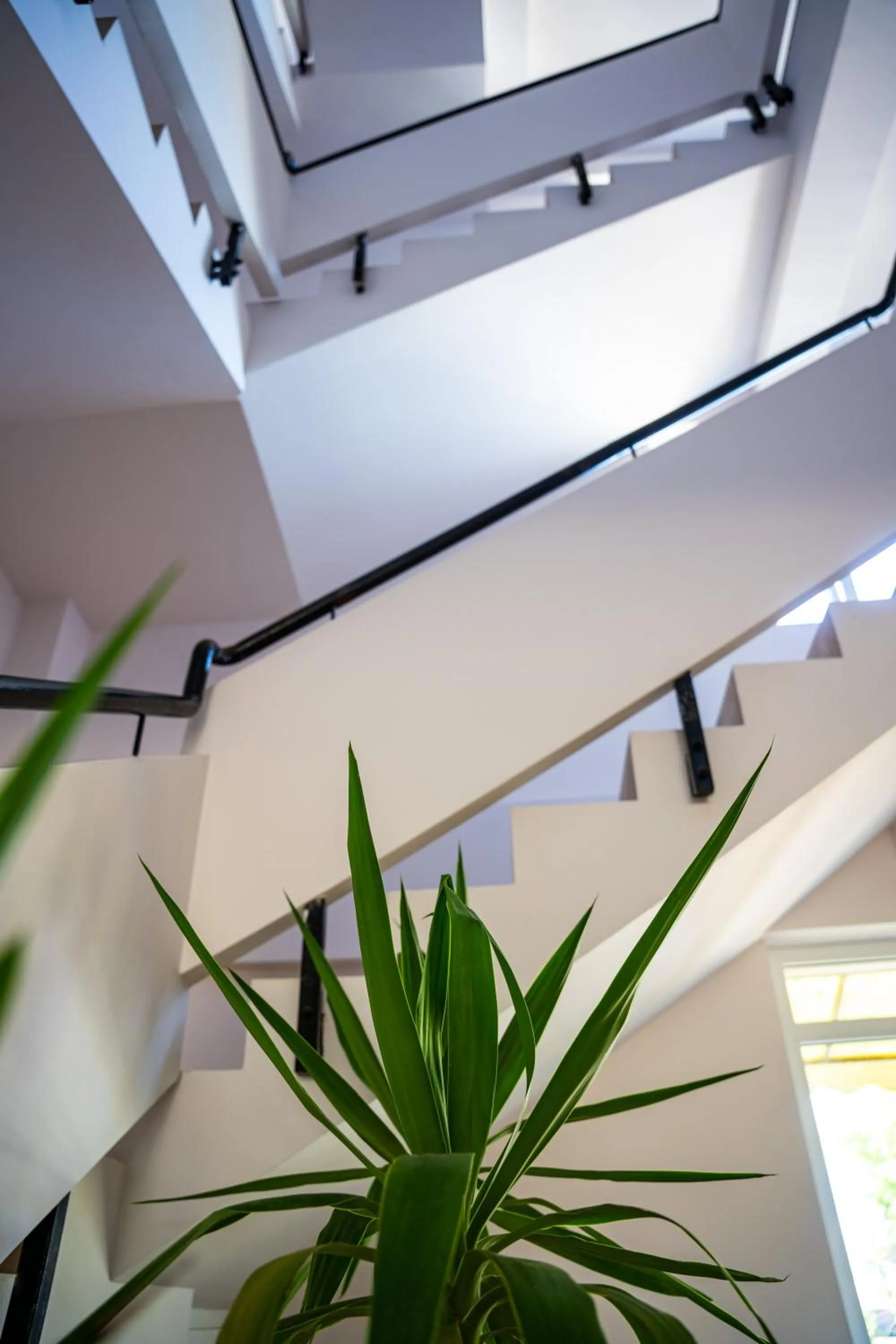 Property building in Complex Vraja Mării Costinești