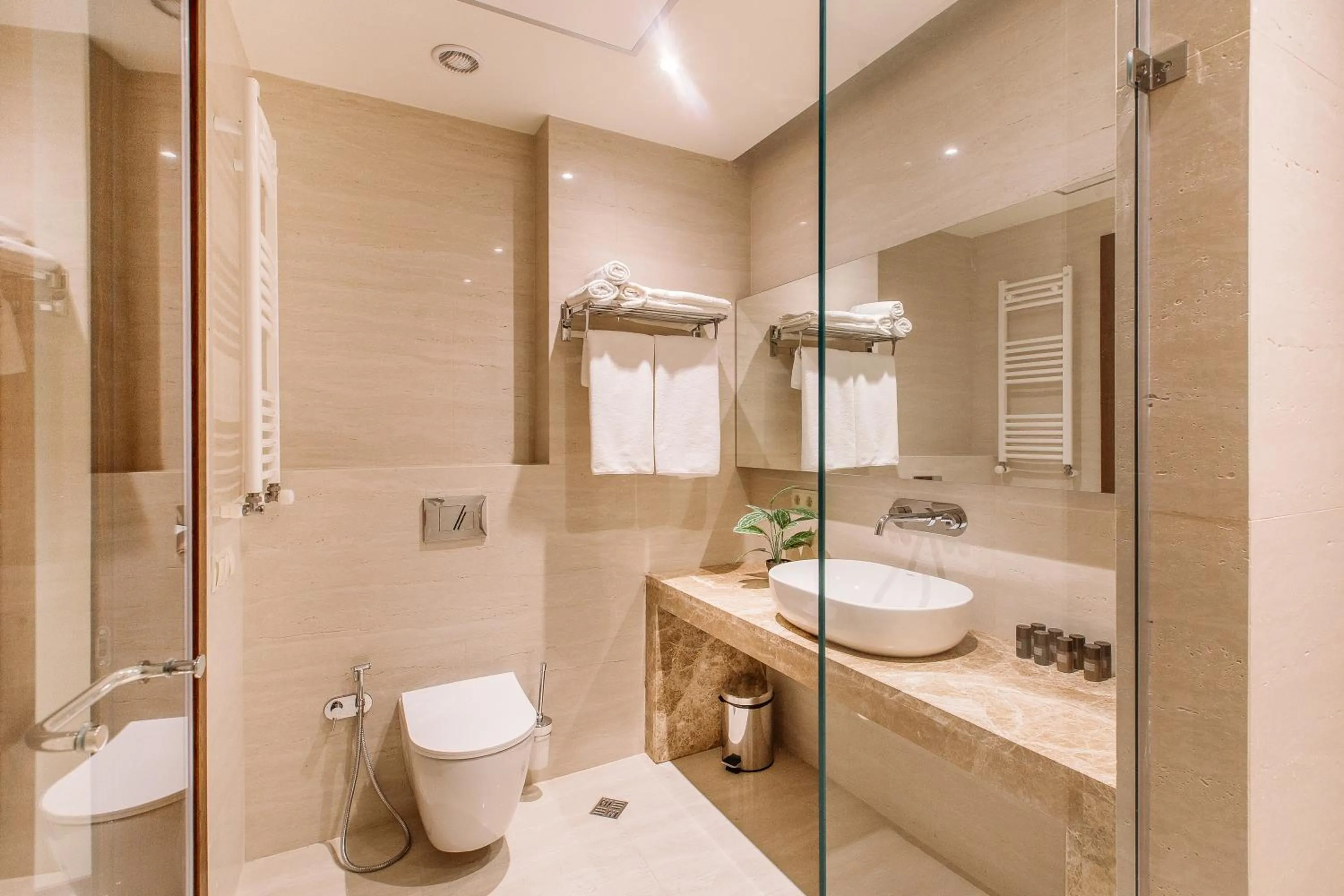 Shower in Hotel Tbilisi Tower