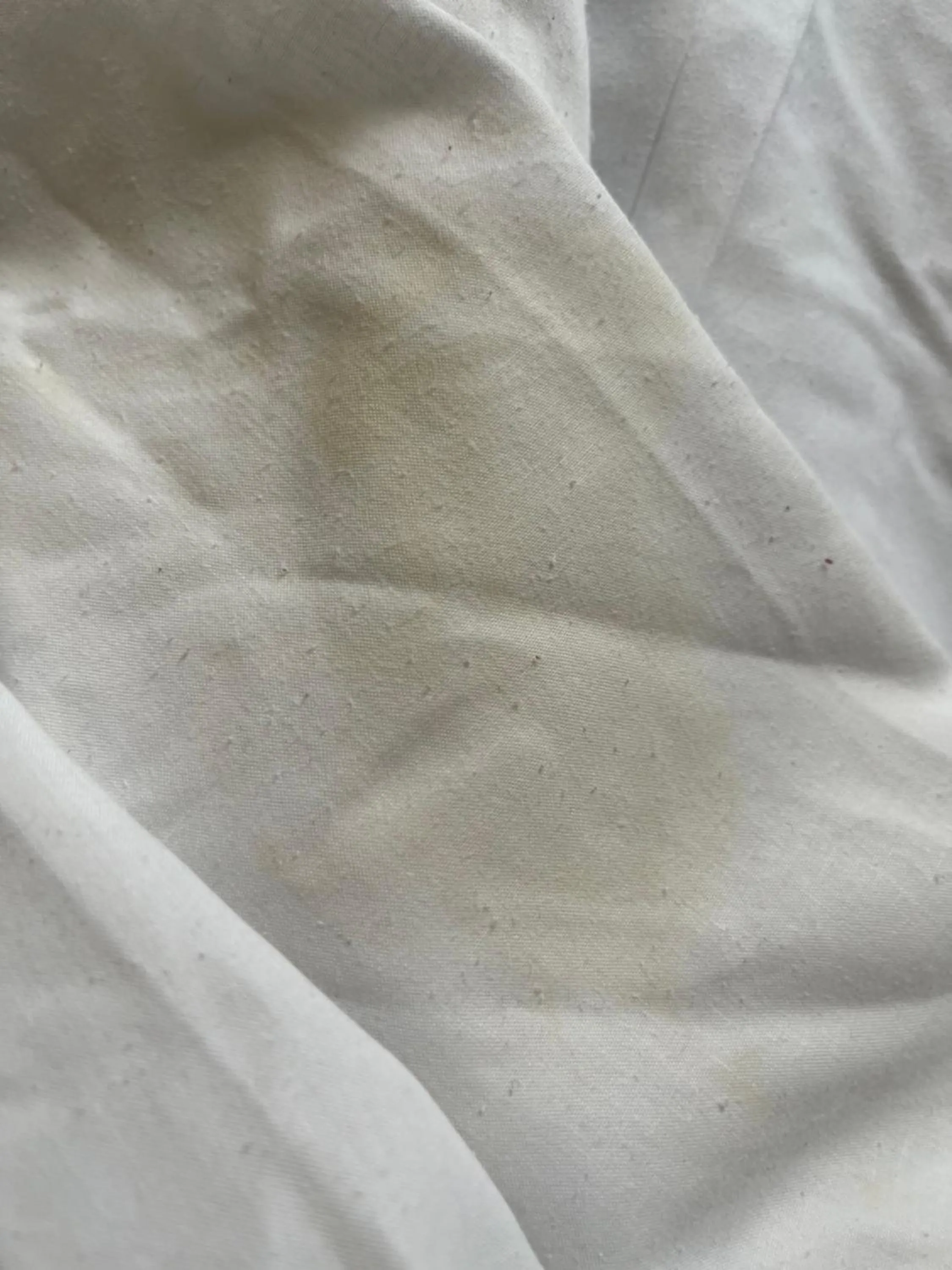 Bed in Knights Inn Burlington