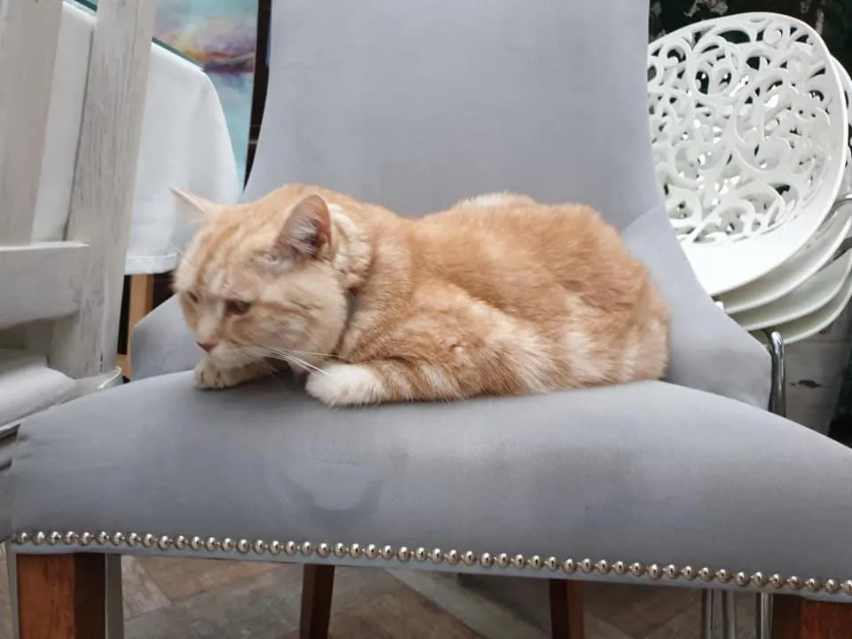 Pensjonat Kaszubianka