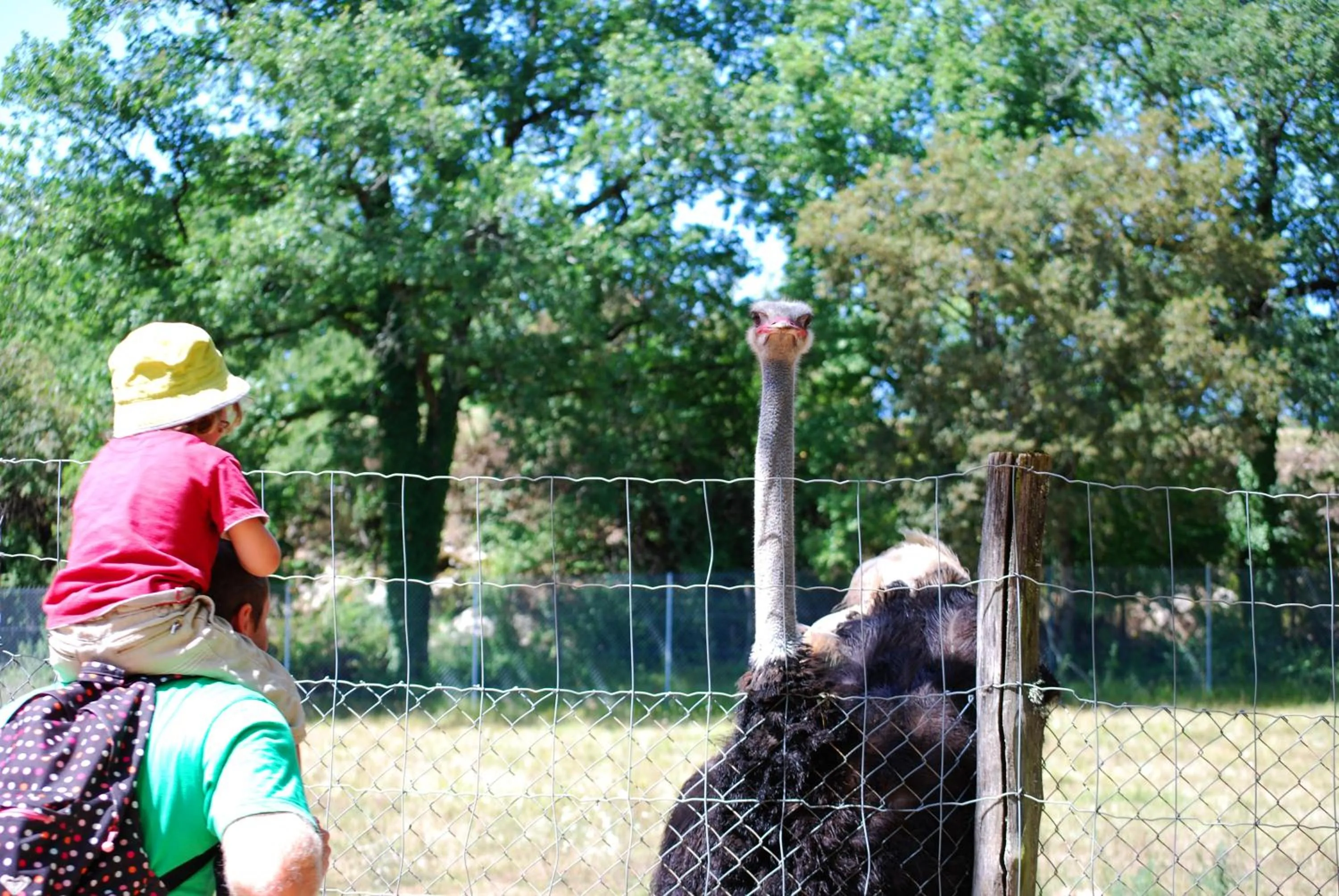 Entertainment in Lagrange Grand Bleu Vacances - Residence Les Ségalières