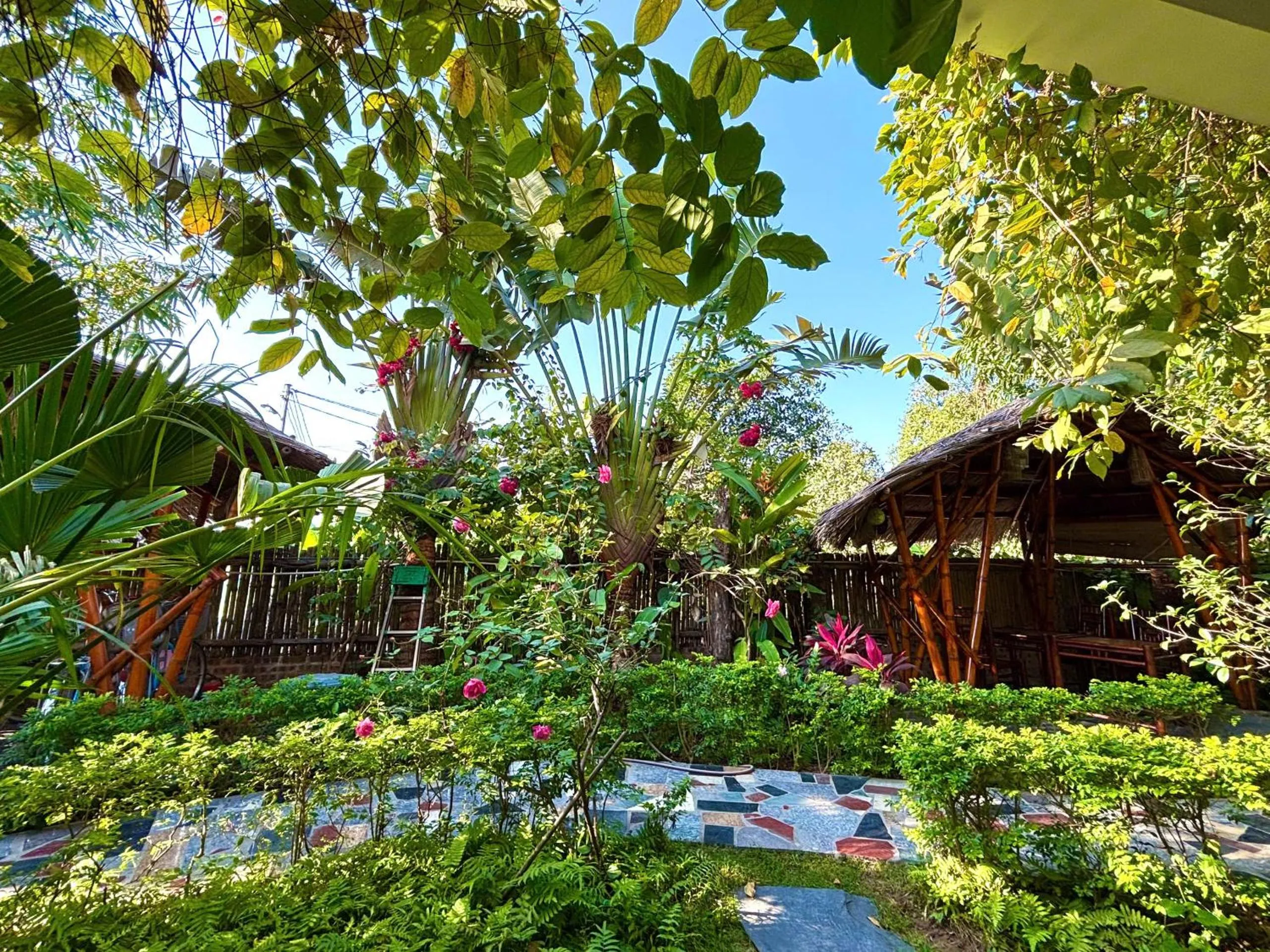 Garden in Nan House - Tam Coc