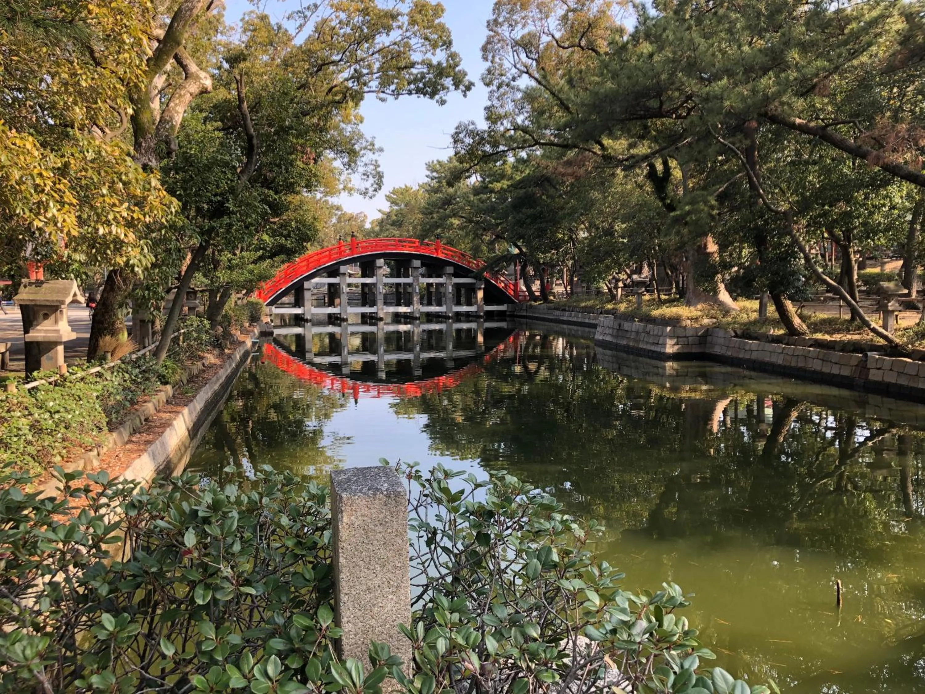 Hiking in Masaru House