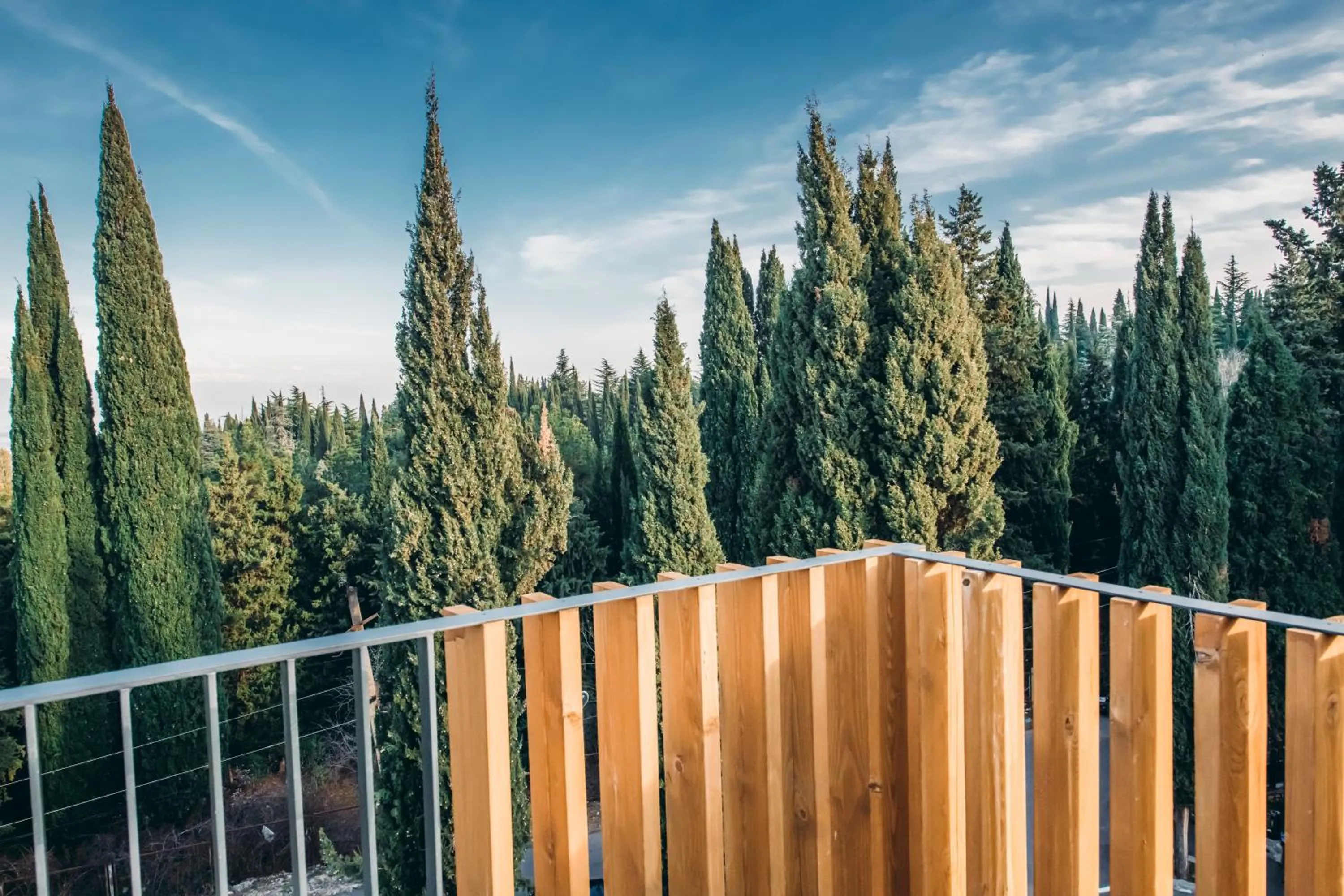 Balcony/Terrace in Park Hotel Tsinandali Estate